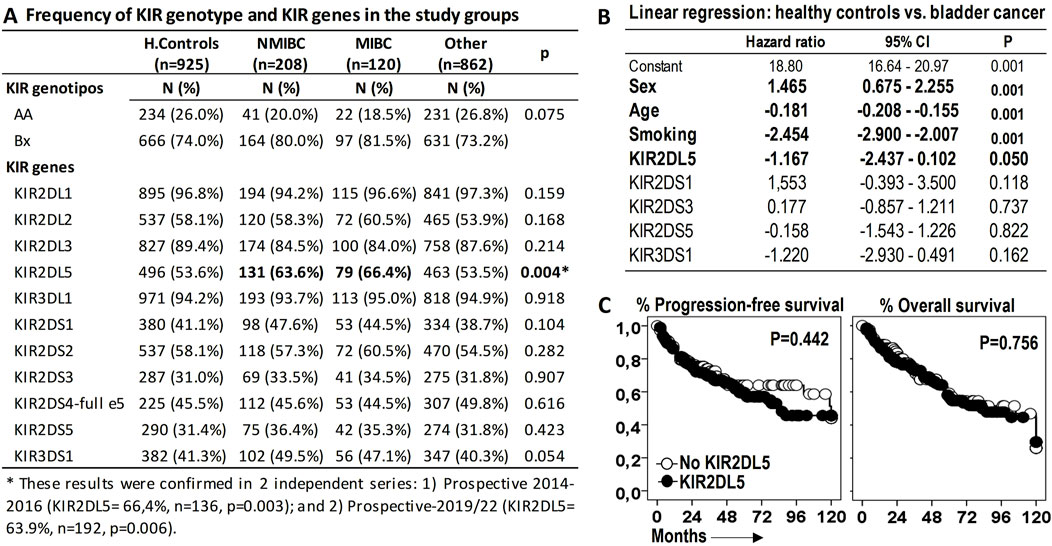 Table A compares the frequency of KIR genotypes and genes in four groups, highlighting significant differences in KIR2DL5. Table B shows a linear regression analysis for healthy controls versus bladder cancer, noting significant associations with sex and age. Graph C depicts progression-free and overall survival curves for KIR2DL5, showing no significant difference in survival.