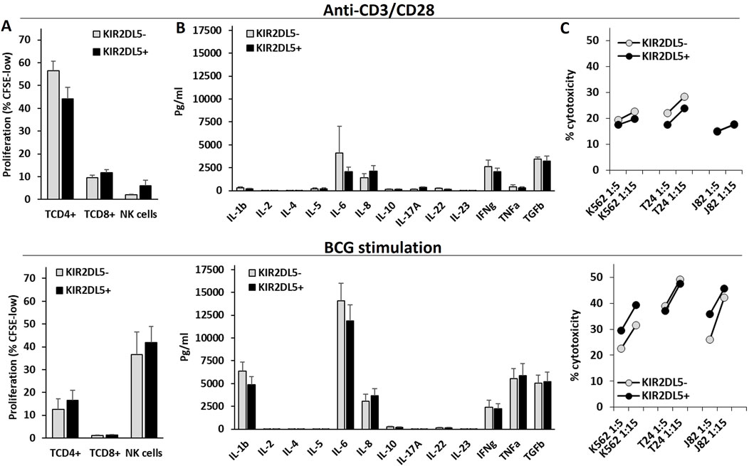 Bar and line graphs compare the effects of Anti-CD3/CD28 and BCG stimulation on KIR2DL5- and KIR2DL5+ cells. Panel A shows cell proliferation percentages for TCD4+, TCD8+, and NK cells. Panel B presents cytokine production levels in picograms per milliliter for various interleukins and factors. Panel C depicts cytotoxicity percentages against different targets. Error bars indicate variability.