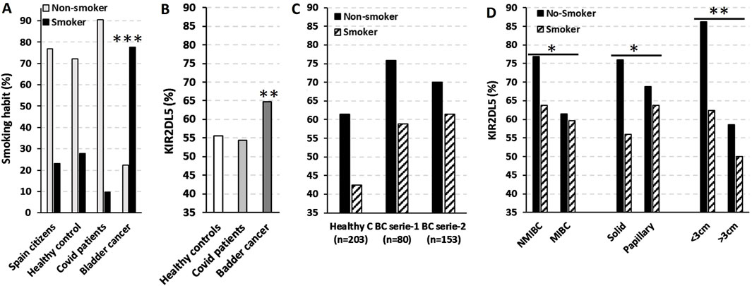 Four bar graphs labeled A, B, C, and D compare smoker and non-smoker percentages across different groups. A shows smoking habits for Spain citizens, healthy controls, COVID patients, and bladder cancer patients, with bladder cancer patients having the highest smoker percentage. B shows KIR2DL5 percentages, with bladder cancer patients having higher levels. C compares healthy controls and two bladder cancer series, showing higher KIR2DL5 percentages for smokers. D compares various bladder cancer conditions, indicating higher KIR2DL5 percentages in non-smokers for NMIBC, MIBC, solid, papillary, and greater than 3 cm conditions.