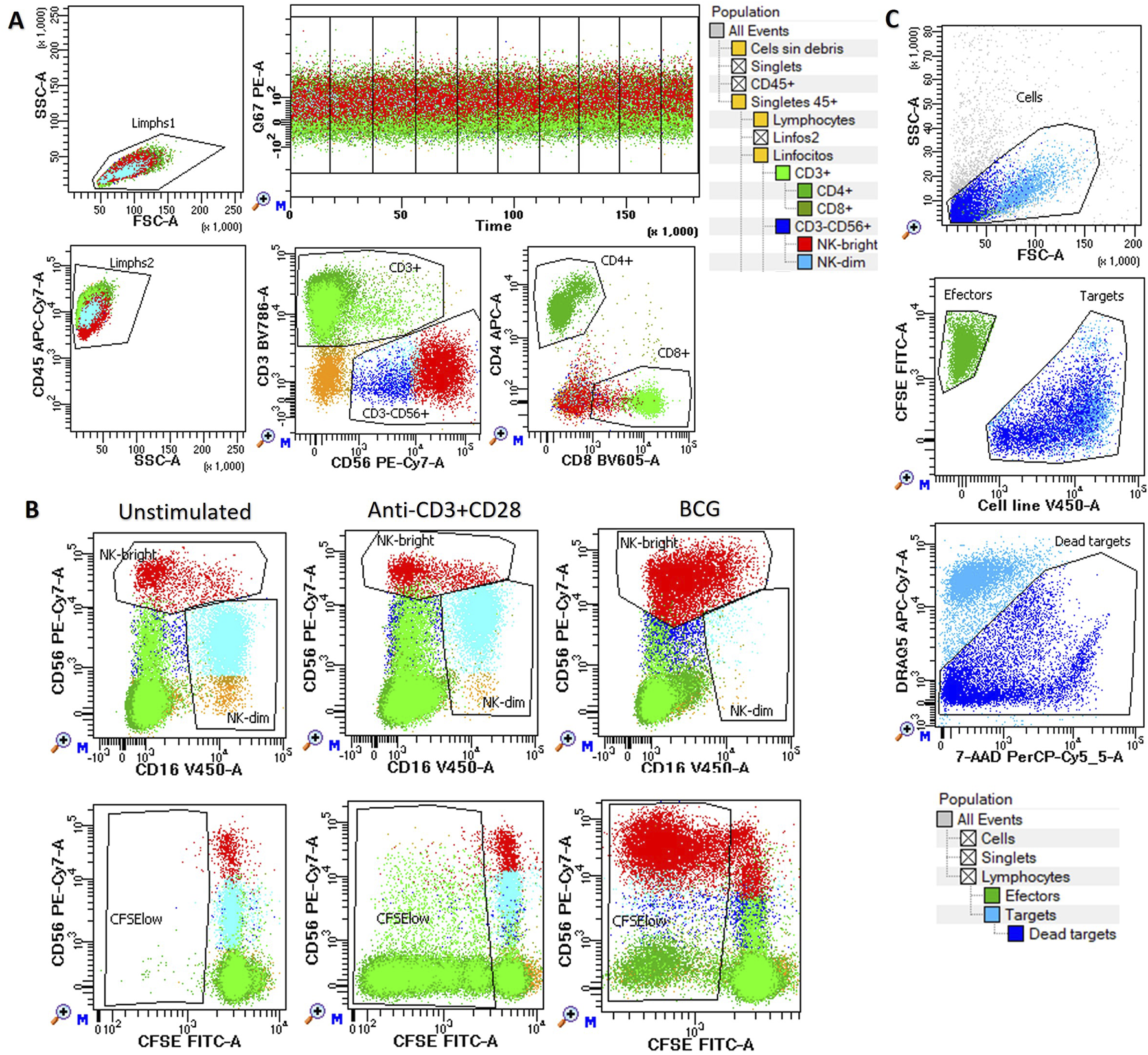 Flow cytometry analysis showing various cell populations. Panel A illustrates lymphocyte gating, CD3, CD4, CD8, and CD56 markers. Panel B compares unstimulated cells, anti-CD3+CD28, and BCG-stimulated cells, highlighting NK-bright and NK-dim cells. Panel C presents general cell distribution and target/effector interaction, indicating dead targets. The legend categorizes populations by color: lymphocytes, CD45+, CD3+, CD4+, CD8+, NK-bright, and NK-dim cells.
