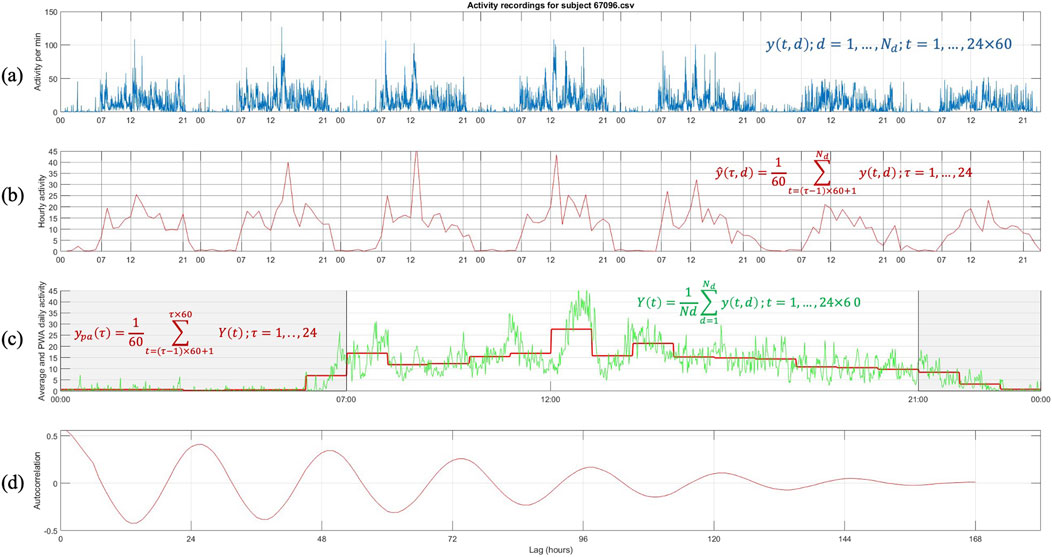 Four-panel graph displaying activity data. Panel (a) shows activity per minute with sharp peaks. Panel (b) presents hourly activity with a similar pattern. Panel (c) illustrates average daily activity with a fluctuating line. Panel (d) shows an autocorrelation function over time, featuring a sinusoidal pattern. Mathematical equations are labeled on each panel, demonstrating different analytical approaches.