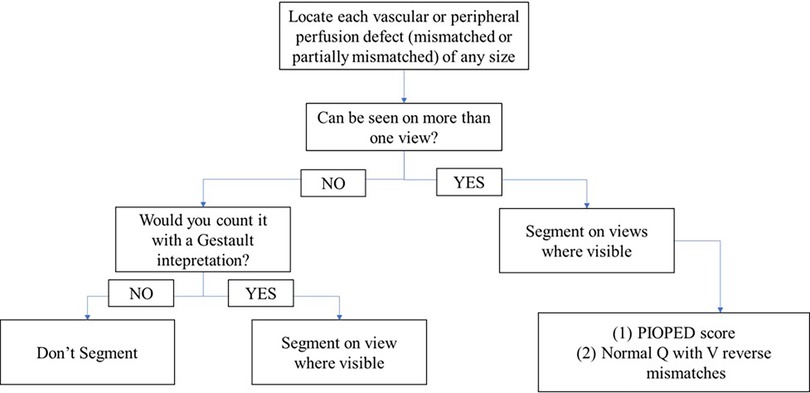 Flowchart for assessing vascular or peripheral perfusion defects. It begins with locating mismatched or partially mismatched defects of any size. If visible in more than one view, segment on those views. If not, ask if it counts with a Gestalt interpretation—if no, do not segment; if yes, segment where visible. Leads to PIOPED score or normal Q with V reverse mismatches.