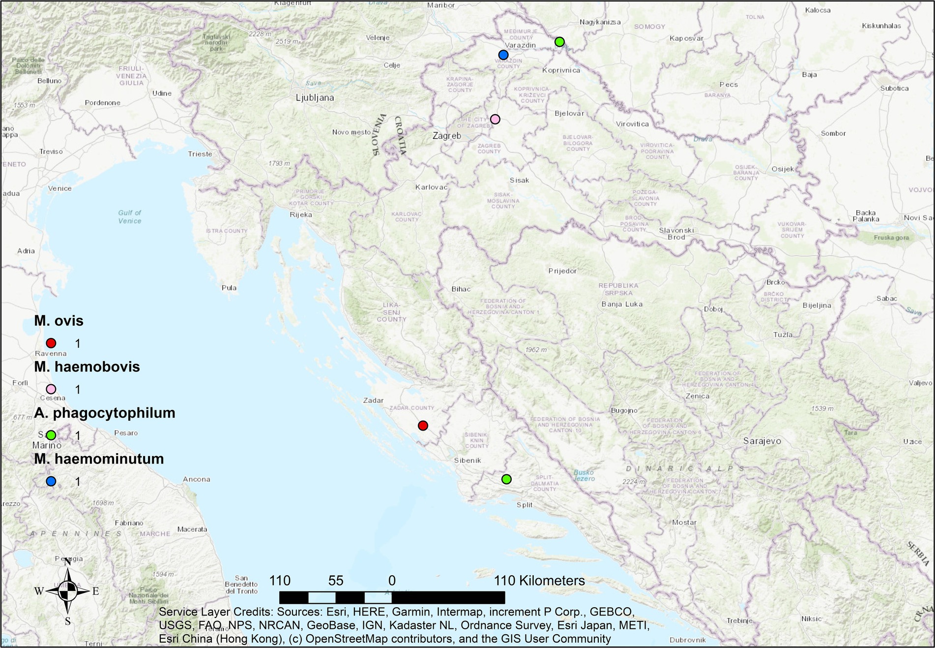 Map showing detection locations of various pathogens in Croatia and surrounding areas. It includes markers for M. ovis (red), M. haemobovis (purple), A. phagocytophilum (green), and M. haemominutum (blue). Each marker corresponds to a numbered detection site, with a scale bar indicating distances up to 110 kilometers.