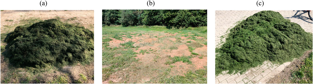 (a) A large pile of grass cuttings on bare ground. (b) Patchy grass-covered area with visible soil patches; (c) A mound of grass cuttings on a paved surface.