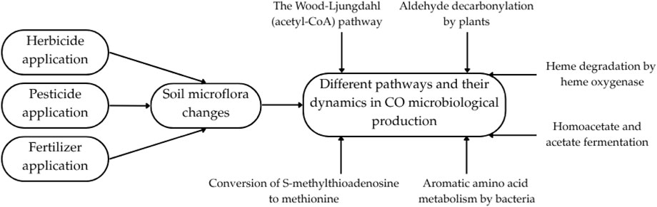Flowchart illustrating the effect of herbicide, pesticide, and fertilizer applications on soil microflora changes, which leads to various pathways in carbon monoxide microbiological production. These pathways include the Wood-Ljungdahl pathway, aldehyde decarboxylation by plants, heme degradation by heme oxygenase, homoacetate and acetate fermentation, conversion of S-methylthioadenosine to methionine, and aromatic amino acid metabolism by bacteria.