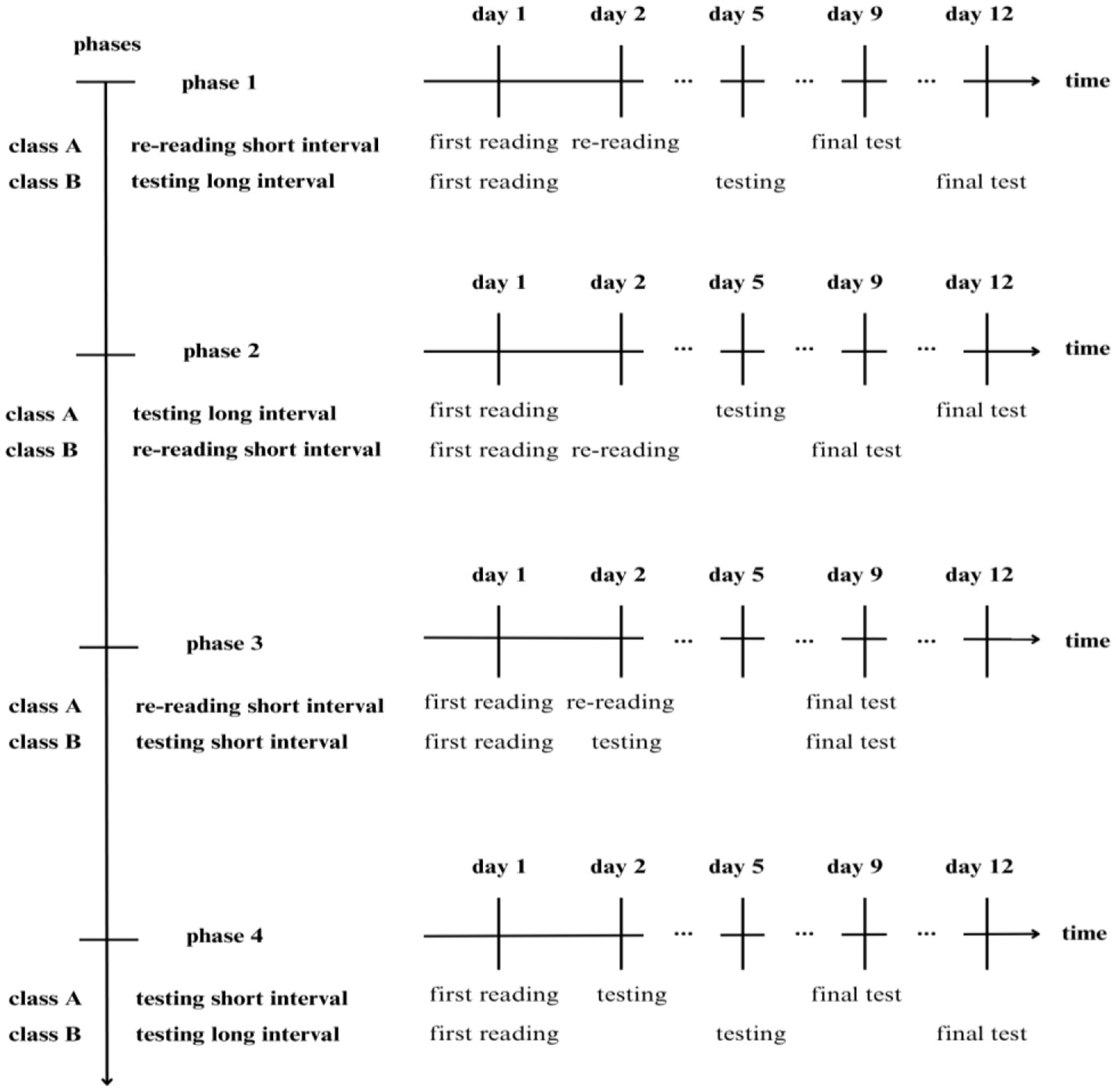 The figure illustrates both the experimental design—that is, the assignment of learning procedures to the two classes across the four experimental phases—and the temporal progression of the different activity steps based on the assigned learning condition. The first reading was always administered on Day 1. Depending on the condition, re-reading or testing activities were conducted either on Day 2 (short interval) or Day 5 (long interval). The final test took place on Day 9 (short interval) or Day 12 (long interval). Re-reading was always implemented in short-interval conditions and was administered during Phases 1 and 2—where it was compared to short-interval testing, with the two learning procedures counterbalanced between the two classes across these phases—and in Phase 3, where it was compared to long-interval testing. Testing was implemented in all phases. Phase 4 featured only testing conditions, which differed solely in the length of the interval between the initial study and the final test (short vs. long interval).