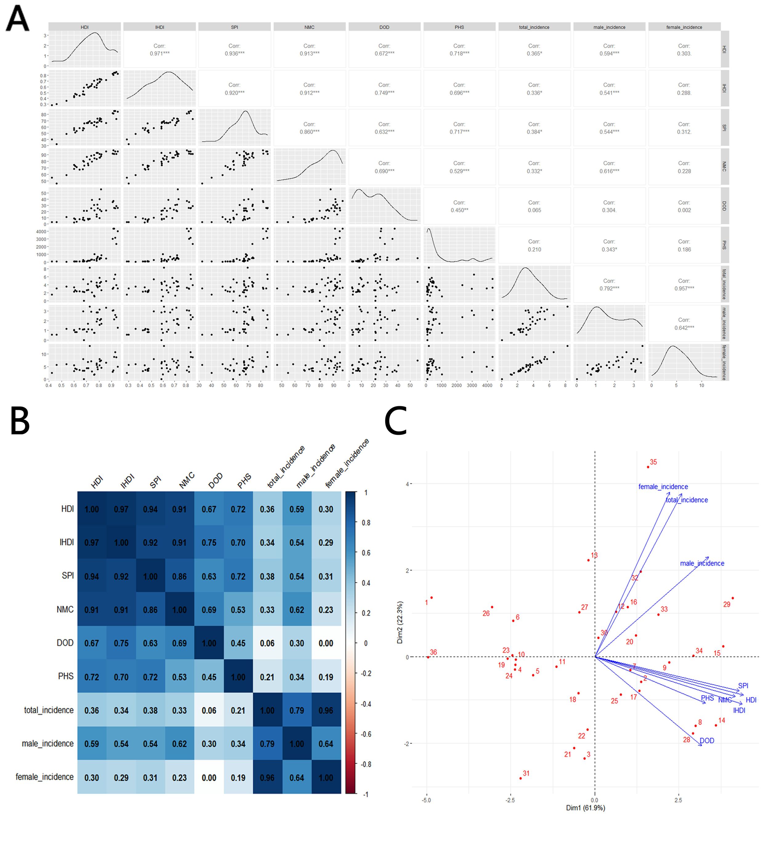 Panel A shows a scatterplot matrix with distribution curves and correlation coefficients for variables like HDI, IHDI, SPI, NMC, DOD, PHS, and incidence rates. Panel B is a heatmap displaying correlation values between the same variables, showing gradients from light to dark blue. Panel C depicts a principal component analysis biplot with vectors illustrating the contributions of variables like incidence rates and socioeconomic indicators. Each panel provides insights into the relationships and patterns among the variables analyzed.