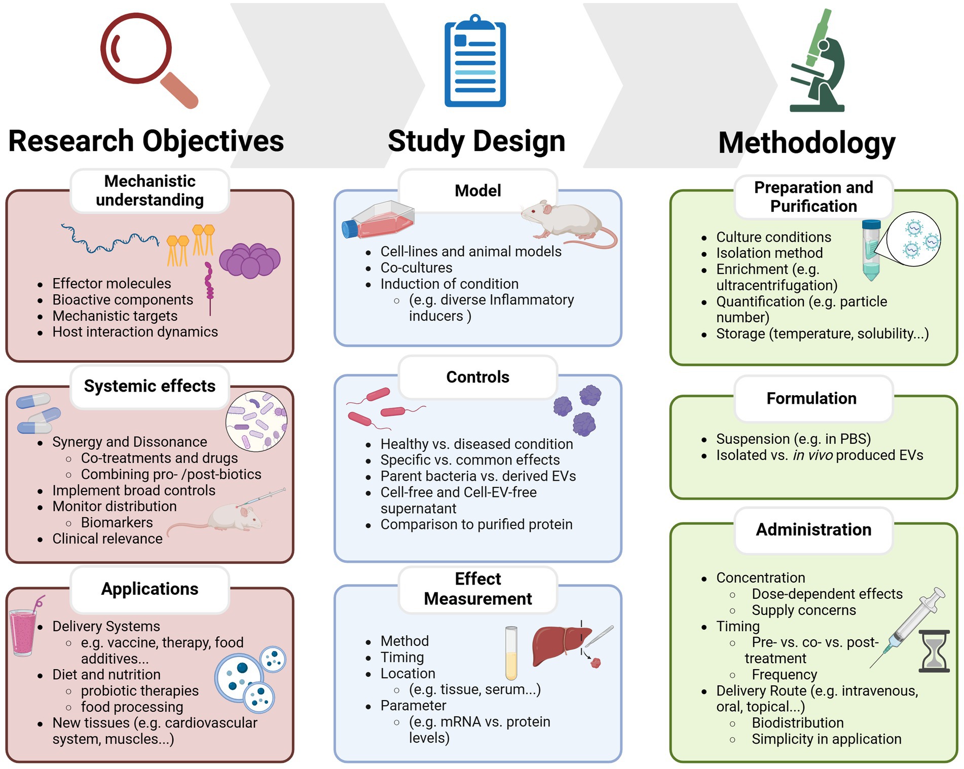 Flowchart illustrating research processes, divided into three columns: Research Objectives, Study Design, and Methodology. Research Objectives include mechanistic understanding, systemic effects, and applications. Study Design covers model selection, controls, and effect measurement. Methodology involves preparation and purification, formulation, and administration. Each section lists specific tasks or factors to consider, like effector molecules, cell models, and culture conditions. Icons depict each category.