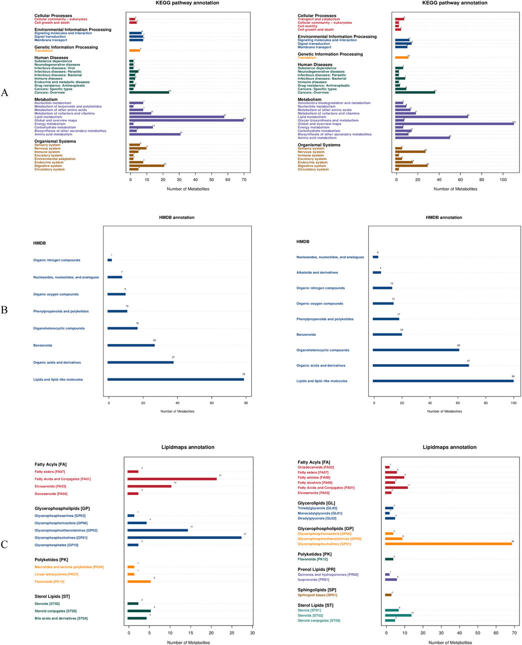 Group of six bar charts labeled A, B, and C, showing KEGG pathway, HMDB, and Lipidmaps annotations. Each chart displays metabolite counts across categories like Cellular Processes, Human Diseases, Genetic Information Processing, and various lipid and organic compounds. The charts highlight differences in metabolite distribution within each annotation type.