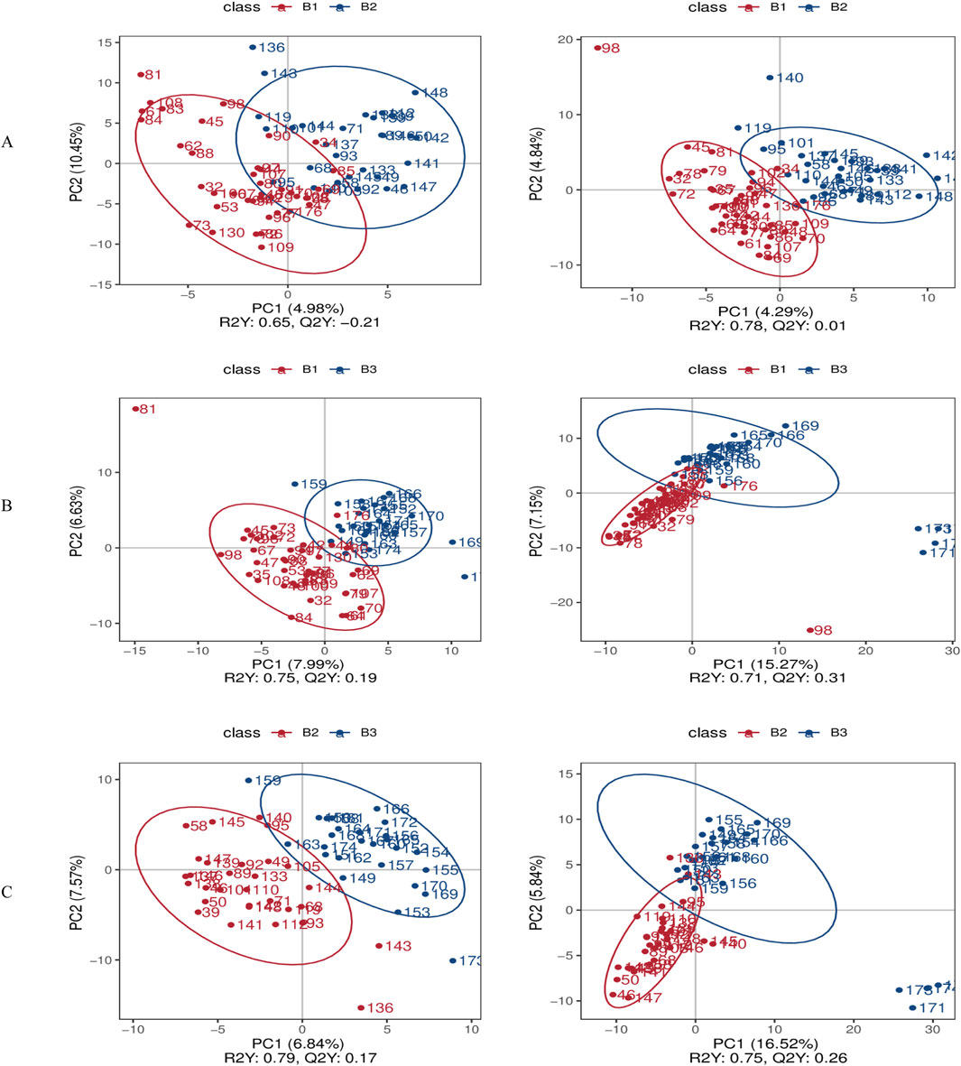Scatter plots display PCA results comparing different classes: A, B, and C. Each plot shows two principal components (PC1 vs. PC2) with red and blue dots representing distinct classes, and corresponding ellipses indicating data distribution. Each subplot contains specific R2Y and Q2Y values, indicating model quality.