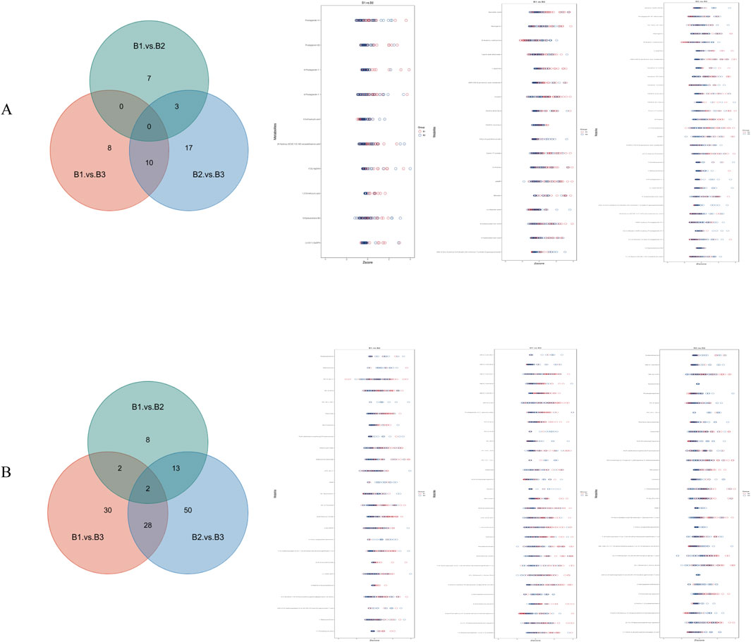 Two panels labeled A and B feature Venn diagrams and related dot plots. Panel A has a Venn diagram showing overlaps among B1 vs. B2, B1 vs. B3, and B2 vs. B3, with 10 shared elements. Adjacent are three dot plots illustrating corresponding data distributions. Panel B displays a similar Venn diagram with overlap values differing slightly, with 28 shared elements. Three additional dot plots provide visual distribution details for this dataset. Each Venn diagram highlights unique and shared elements between comparisons.