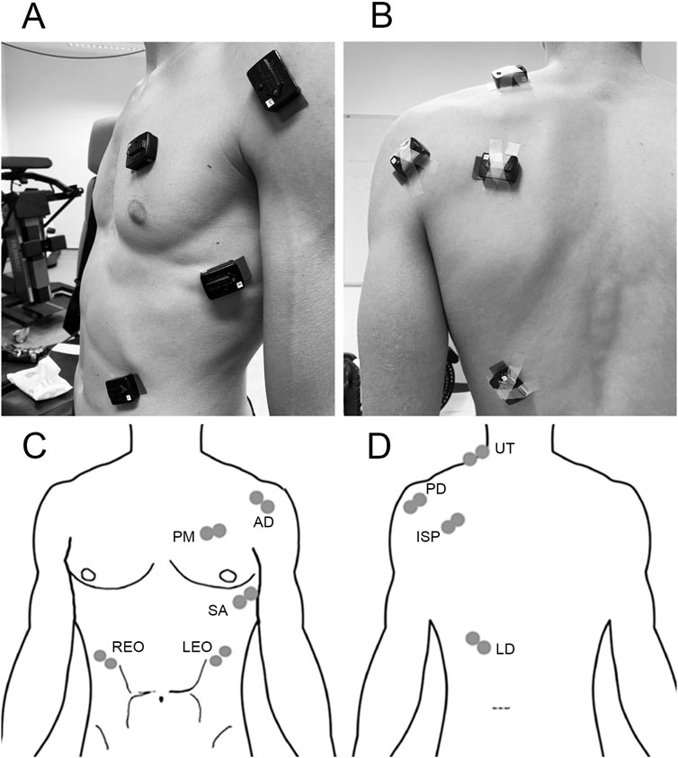 A four-panel image showing sensor placements on a person's torso for a biomechanical study. Panels A and B depict sensors placed on the front and back of a male torso. Panels C and D are diagrams illustrating specific sensor locations labeled as AD, PM, SA, REO, LEO, UT, PD, ISP, and LD.
