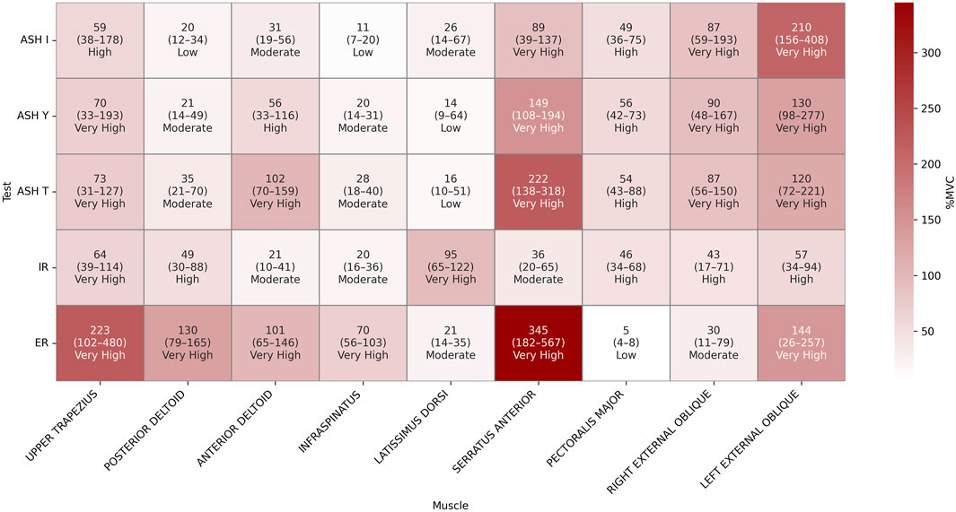 Heatmap displaying muscle activation levels during different tests: ASH I, ASH Y, ASH T, IR, and ER. Intensity ranges from low to very high, depicted by varying shades of red. Each cell shows average activation with range in parentheses. Bold numbers and labels indicate higher activation intensities.