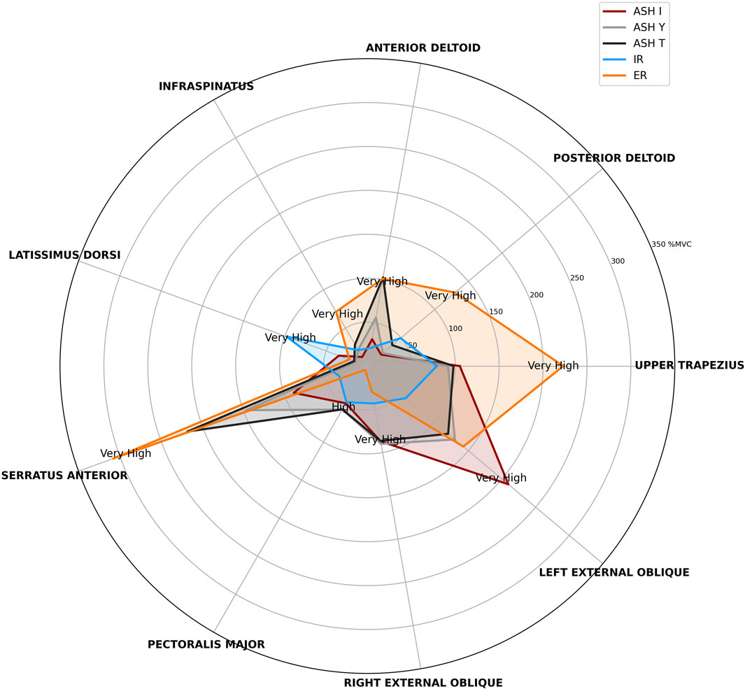 Radar chart displaying muscle activation levels across various muscles: anterior deltoid, infraspinatus, latissimus dorsi, and others. Five data series are plotted: ASH I (red), ASH Y (blue), ASH T (black), IR (orange), and ER (light brown). Activation levels range from low to very high, with indicators for each muscle group.