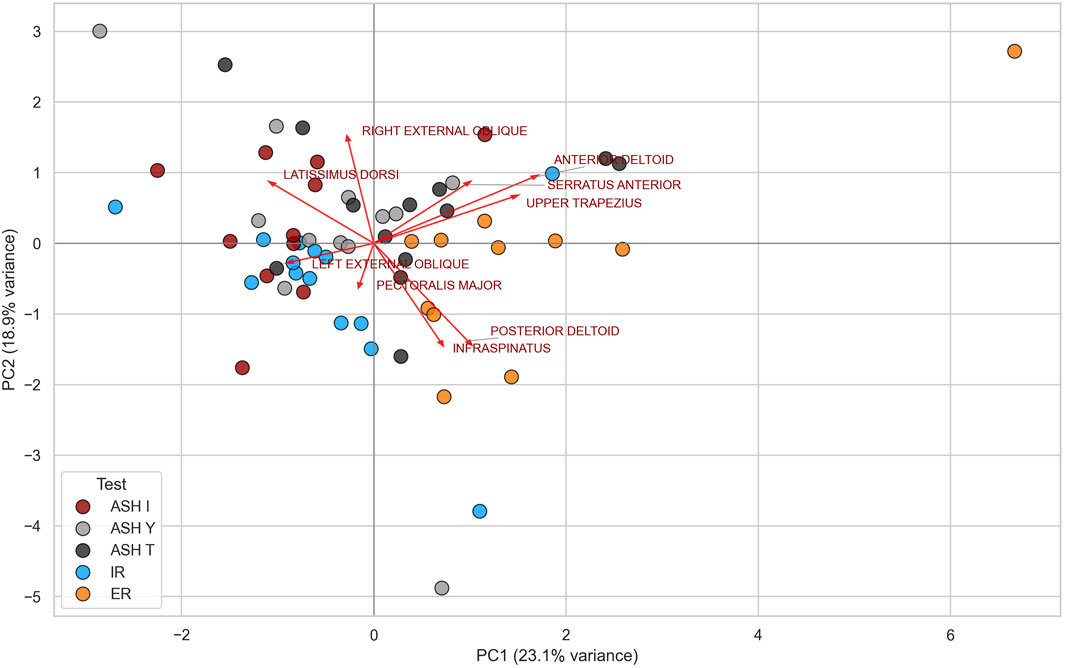 Scatter plot with colored points representing different tests: ASH I, ASH Y, ASH T, IR, and ER. Axes represent PC1 (23.1% variance) and PC2 (18.9% variance). Red arrows label muscles like Latissimus Dorsi, Pectoralis Major, and Anterior Deltoid. A legend identifies colors for each test.