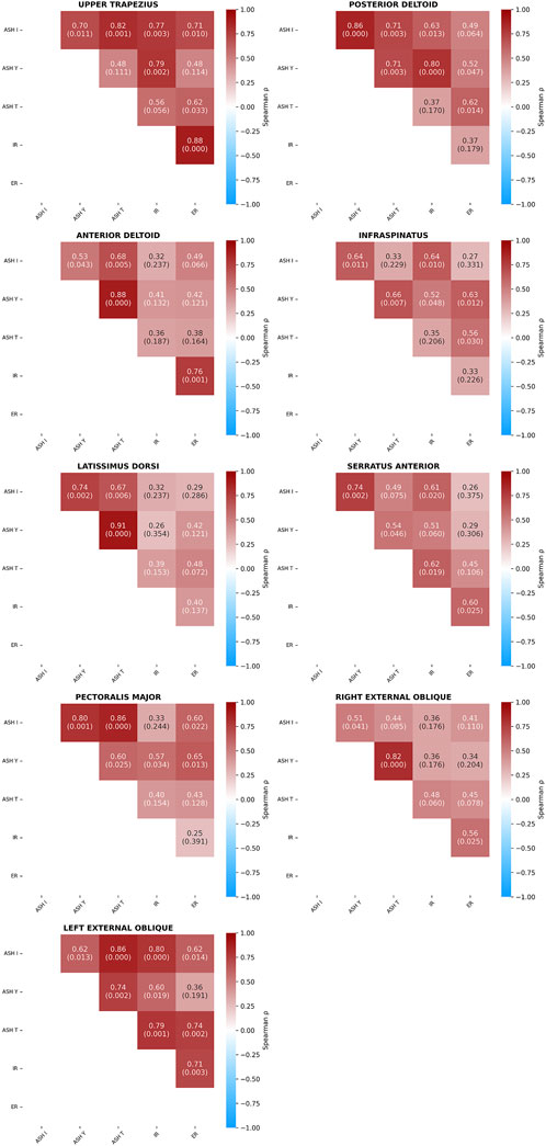 Correlation matrices displaying Spearman's correlation coefficients for various muscle groups, including Upper Trapezius, Posterior Deltoid, Anterior Deltoid, Infraspinatus, Latissimus Dorsi, Serratus Anterior, Pectoralis Major, Right External Oblique, and Left External Oblique. Each matrix shows correlations among different conditions, with values color-coded from blue (negative) to red (positive).