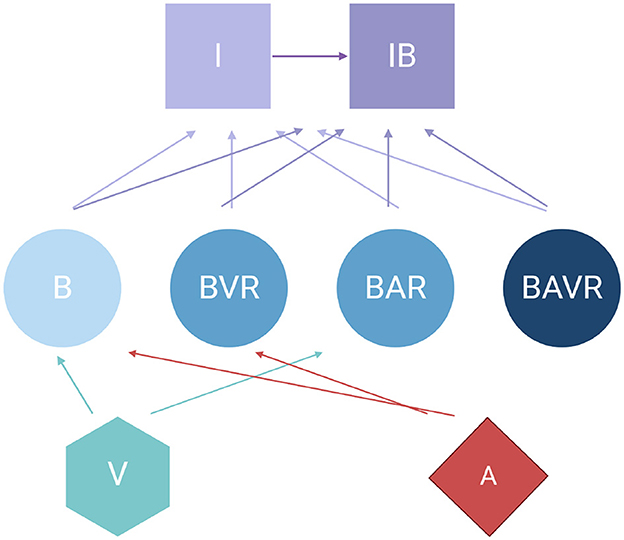 Flowchart depicting a hierarchy with rectangles, circles, hexagon, and diamond shapes. At the top, rectangles labeled “I” and “IB” are connected. Arrows extend from these to circles labeled “B,” “BVR,” “BAR,” and “BAVR.” Additional arrows link to a hexagon labeled “V” and a diamond labeled “A.