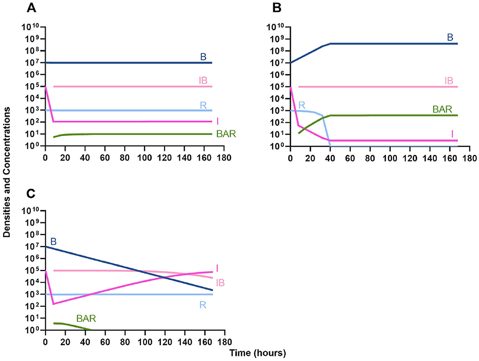 Three line graphs labeled A, B, and C illustrate the change in densities and concentrations over time. Each graph has “Time (hours)” on the x-axis and “Densities and Concentrations” on the y-axis. Graph A shows stable levels for B and IB, a decline for I, and a rise for BAR. Graph B shows a similar trend, but with more variability in R and I. Graph C indicates a steady decline in B, an increase in I, and similar patterns for other variables as in previous graphs. Each graph has distinct colors for B, IB, R, I, and BAR.