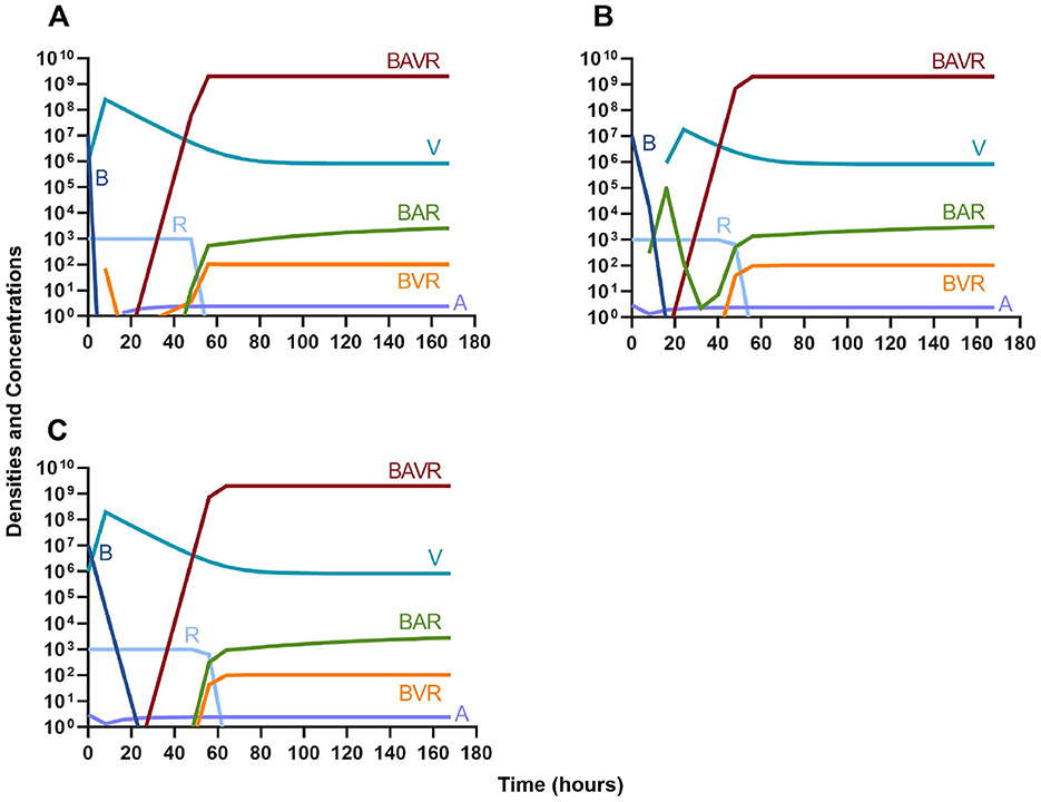 Three line graphs labeled A, B, and C display densities and concentrations over 180 hours. Each graph shows lines for B, V, BAR, BAVR, BVR, R, and A with varying trends. The BAVR line remains high after a steep increase around 20 hours, while V stabilizes. Other lines show initial spikes followed by leveling.