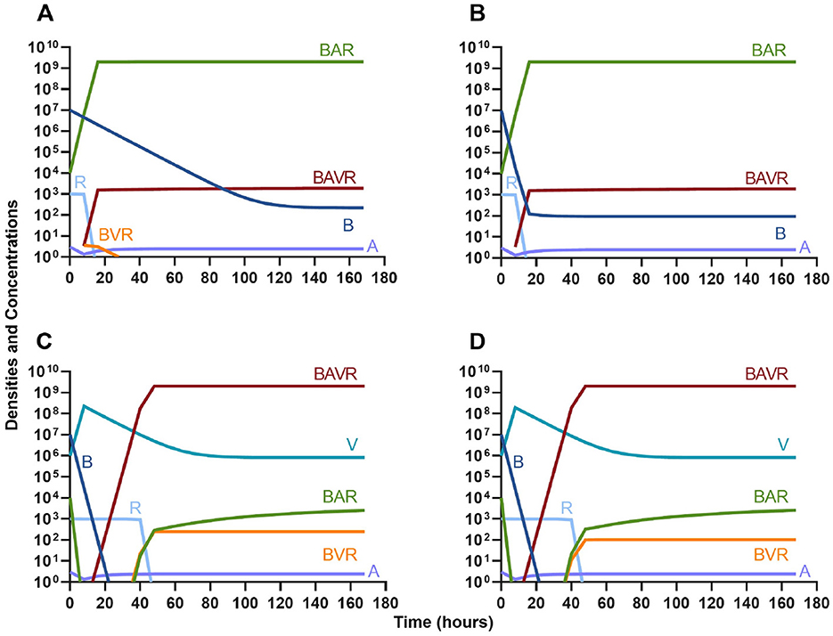 Four line graphs labeled A, B, C, and D show changes in densities and concentrations over time in hours, ranging from 0 to 180. Each graph includes lines labeled BAR, BAVR, BVR, R, B, V, and A, with varying trajectories and values on a logarithmic scale from 10∧0 to 10∧9. Graphs A and B show BAR as high and constant, while in C and D, BAVR is predominant. BVR and other variables exhibit fluctuating patterns across graphs.