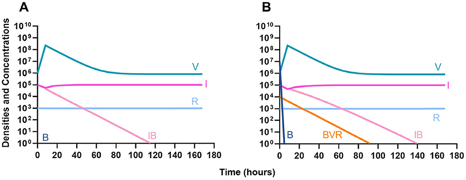 Graphs labeled A and B show densities and concentrations over 180 hours. In both, lines represent different variables: V (teal), R (light blue), I (pink), B (dark blue), IB (light pink), and BVR (orange, only in B). V decreases slightly initially then stabilizes. I, R, and B mostly remain constant, while IB decreases significantly. BVR in B shows a steep initial decrease to stabilize at a low level.