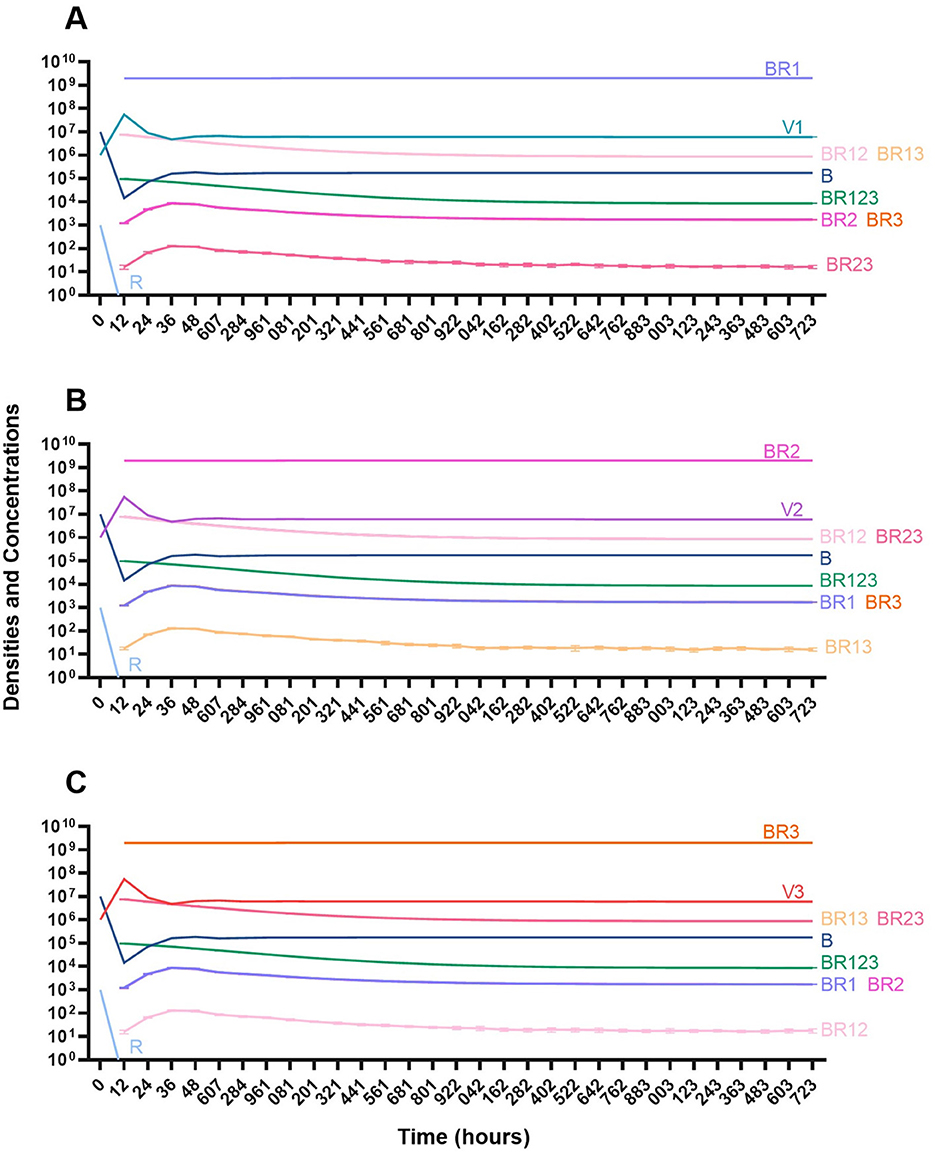 Three line graphs labeled A, B, and C show densities and concentrations over time in hours, ranging from zero to seven-twenty-three. Each graph contains multiple colored lines representing different variables like BR1, V1, BR2, V2, BR3, and others. The y-axis scale is logarithmic from ten to the first power to ten to the tenth power. Graphs illustrate changes in densities and concentrations for each variable, with some lines remaining constant and others fluctuating over time.