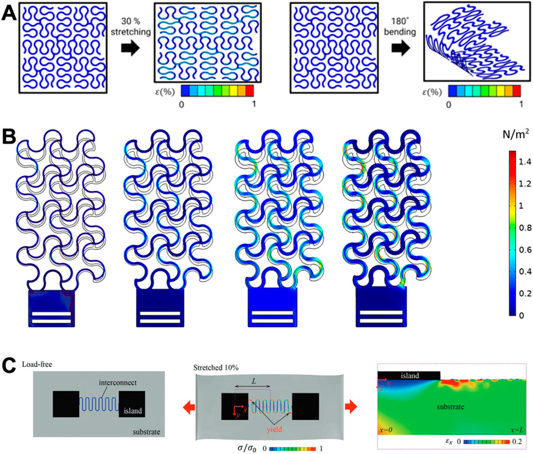 (A) Series of diagrams showing a wavy pattern subjected to 30 percent stretching and 180-degree bending, with color scales indicating strain from 0 to 1. (B) Progression of intricate and looping structures with a color gradient indicating stress levels from 0 to 1.4 Newtons per square meter. (C) Three-part illustration showing a structure labeled