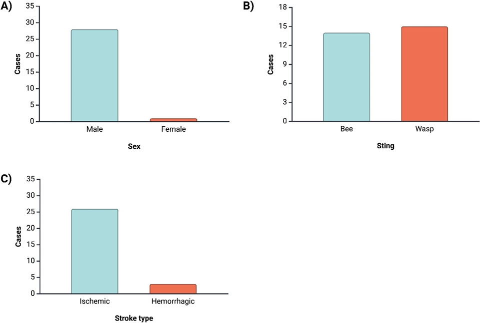 Three bar charts labeled A, B, and C. A: Cases by sex, with males at about 28 and females 1 B: Cases by sting type, with bee at about 14 and wasp at 15. C: Cases by stroke type, with ischemic at about 26 and hemorrhagic near 3.