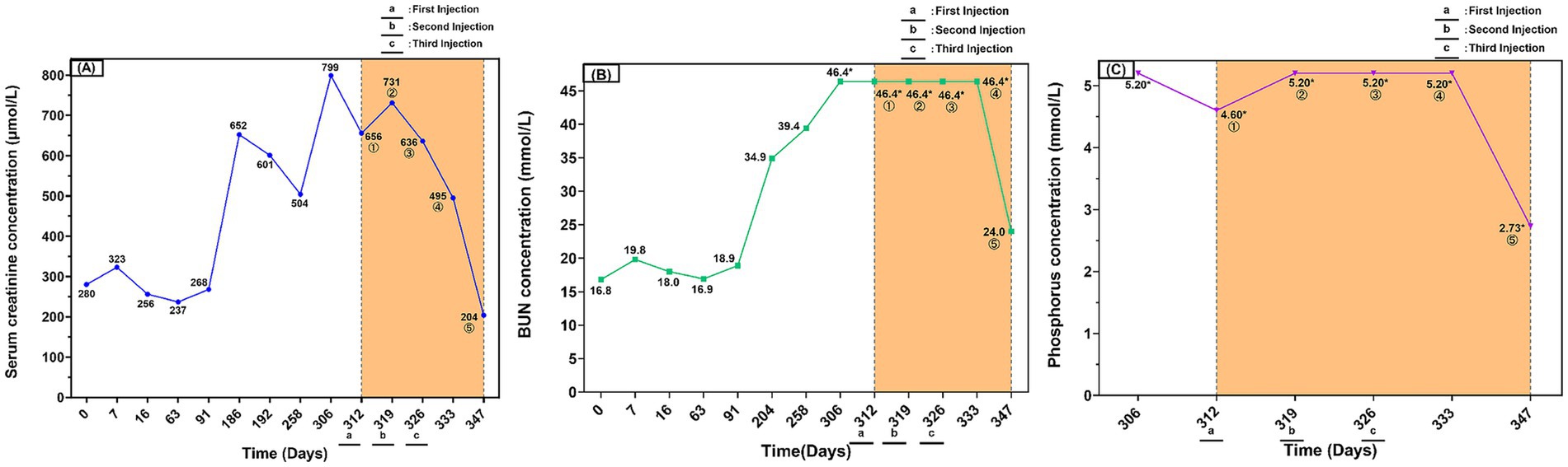 Three line graphs showing changes in serum creatinine, BUN, and phosphorus concentrations over time, with marked points for first, second, and third injections. Graph A shows serum creatinine peaking at 799 µmol/L and dropping to 204 µmol/L by day 347. Graph B shows BUN rising to 46.4 mmol/L, then falling to 24.0 mmol/L. Graph C shows phosphorus at 5.20 mmol/L and decreasing to 2.73 mmol/L by day 347. The period following the injections is highlighted.
