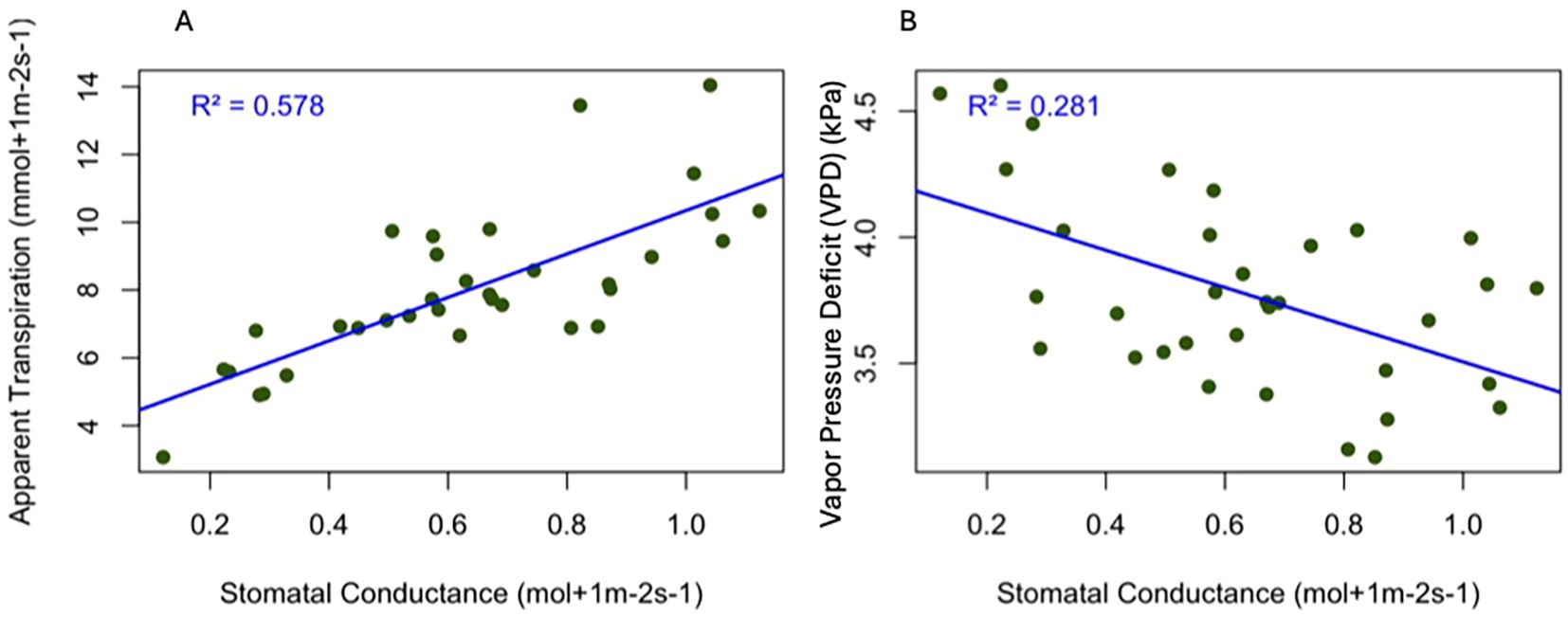 Scatter plots labeled A and B show relationships between stomatal conductance and other variables. Plot A shows a positive correlation (R-squared = 0.578) with apparent transpiration. Plot B shows a weaker negative correlation (R-squared = 0.281) with vapor pressure density. Green data points and blue trend lines are used.
