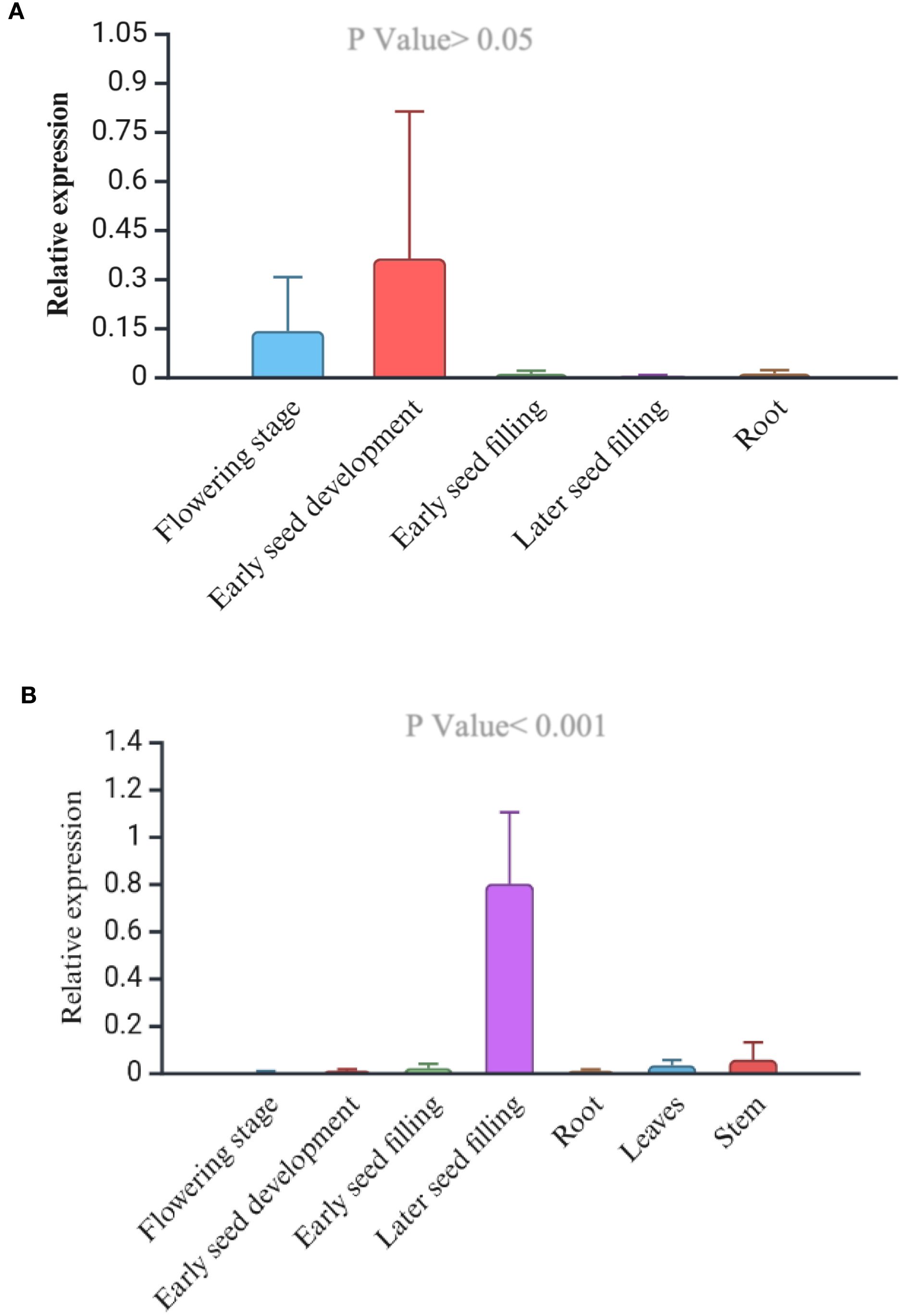 Bar graphs depicting relative gene expression across different plant stages and tissues. Graph A shows higher expression in the early seed development stage. Graph B shows significantly higher expression in the later seed filling stage, with a p-value less than 0.001. Both graphs include other stages like flowering, early seed filling, later seed filling, root, leaves, and stem.