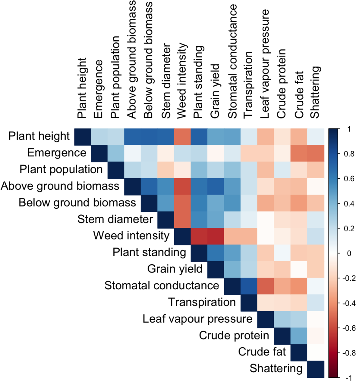 A heatmap displaying correlations between various plant traits, such as plant height, biomass, grain yield, and others. The color gradient ranges from blue to red, indicating correlation strength from 1 to -1. Traits are labeled on both axes, facilitating comparison.