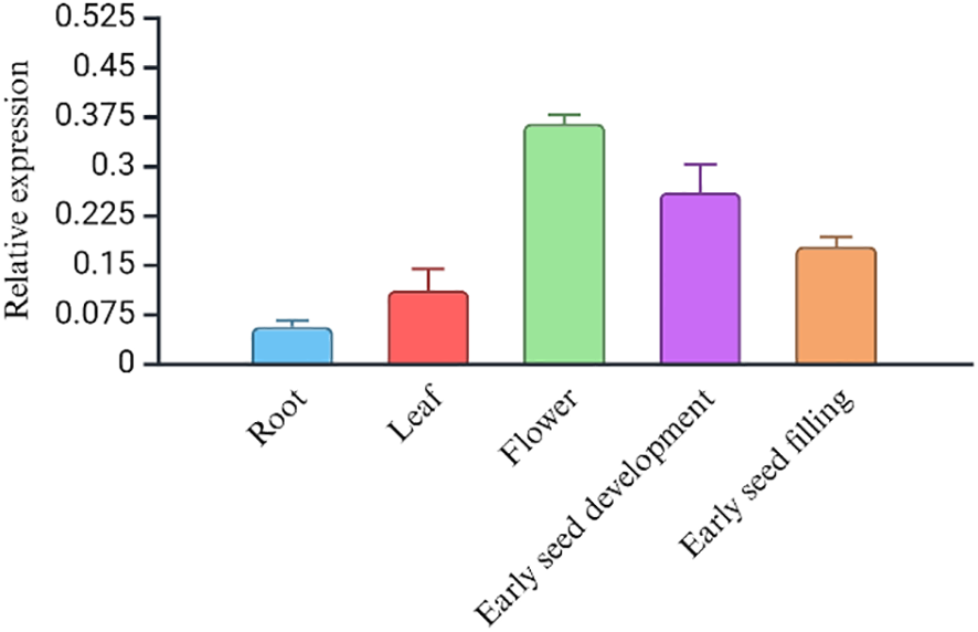 Bar graph showing relative expression levels of a gene in different plant parts and stages. The flower shows the highest expression, followed by early seed development, early seed filling, leaf, and root.