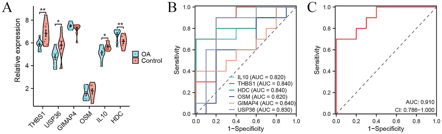 Panel A shows violin plots comparing relative expression of THBS1, USP36, GIMAP4, OSM, IL10, and HDC between OA and control groups, with significant differences indicated. Panel B presents ROC curves for each gene expression with area under the curve (AUC) values listed. Panel C shows a combined ROC curve with an AUC of 0.910, indicating high sensitivity and specificity.