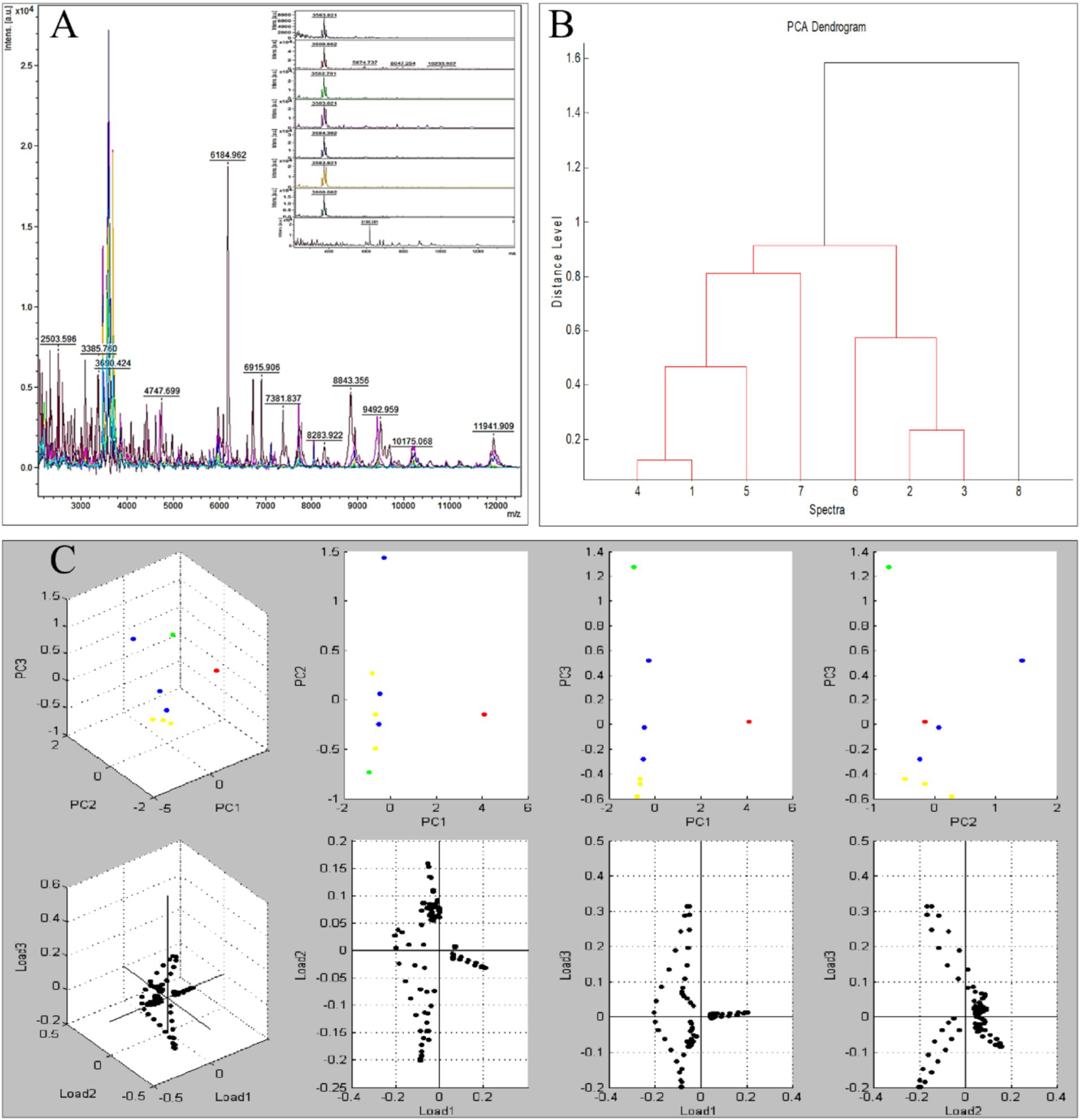 Figure A is a mass spectrometry graph displaying peaks at various m/z values. Figure B shows a PCA dendrogram clustering eight spectra. Figure C consists of various PCA plots illustrating data points in different colors and 3D visualizations, along with loading plots showing component relationships.