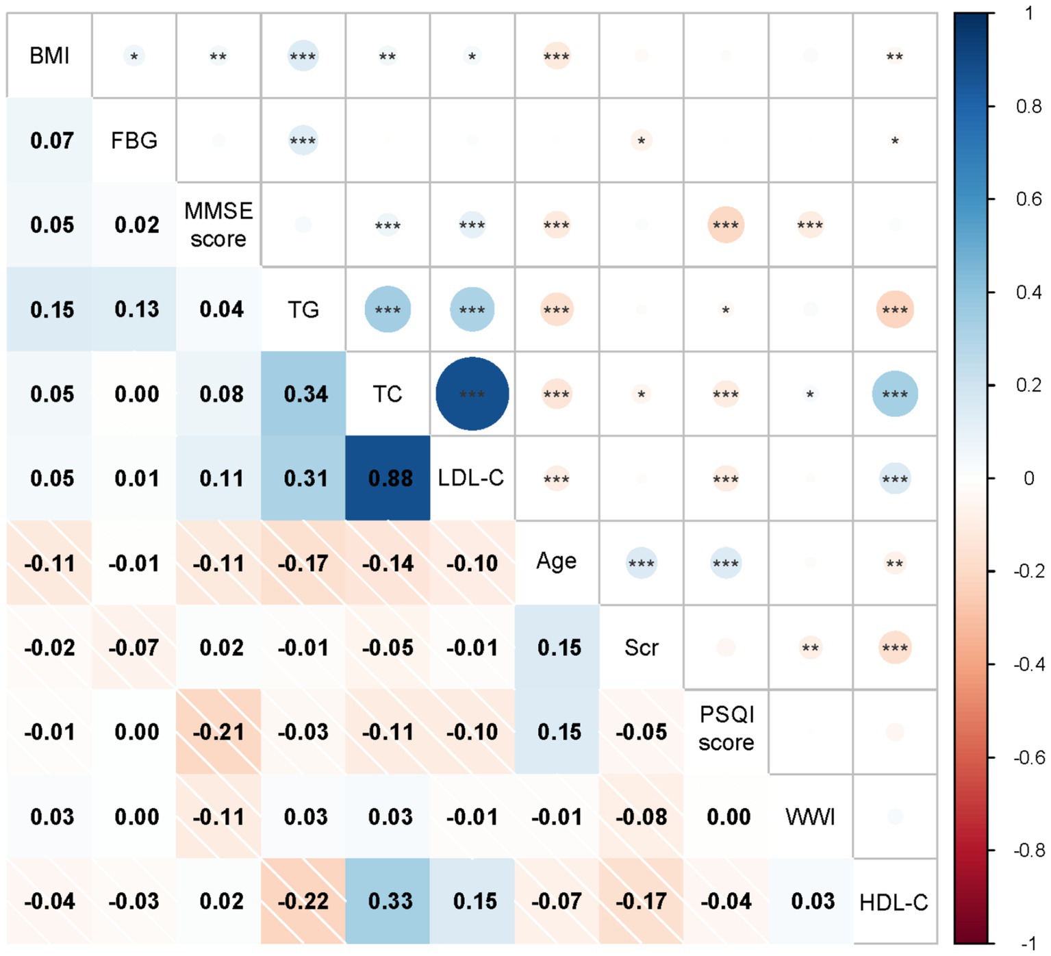 A correlation matrix visualizing relationships between health indicators such as BMI, FBG, MMSE score, TG, TC, LDL-C, Age, Scr, PSQI score, WWI, and HDL-C. Positive correlations are shaded in blue, negative in red, with varying intensity signifying strength. Significant correlations are marked with asterisks. A color scale on the right ranges from -1 (red) to 1 (blue).
