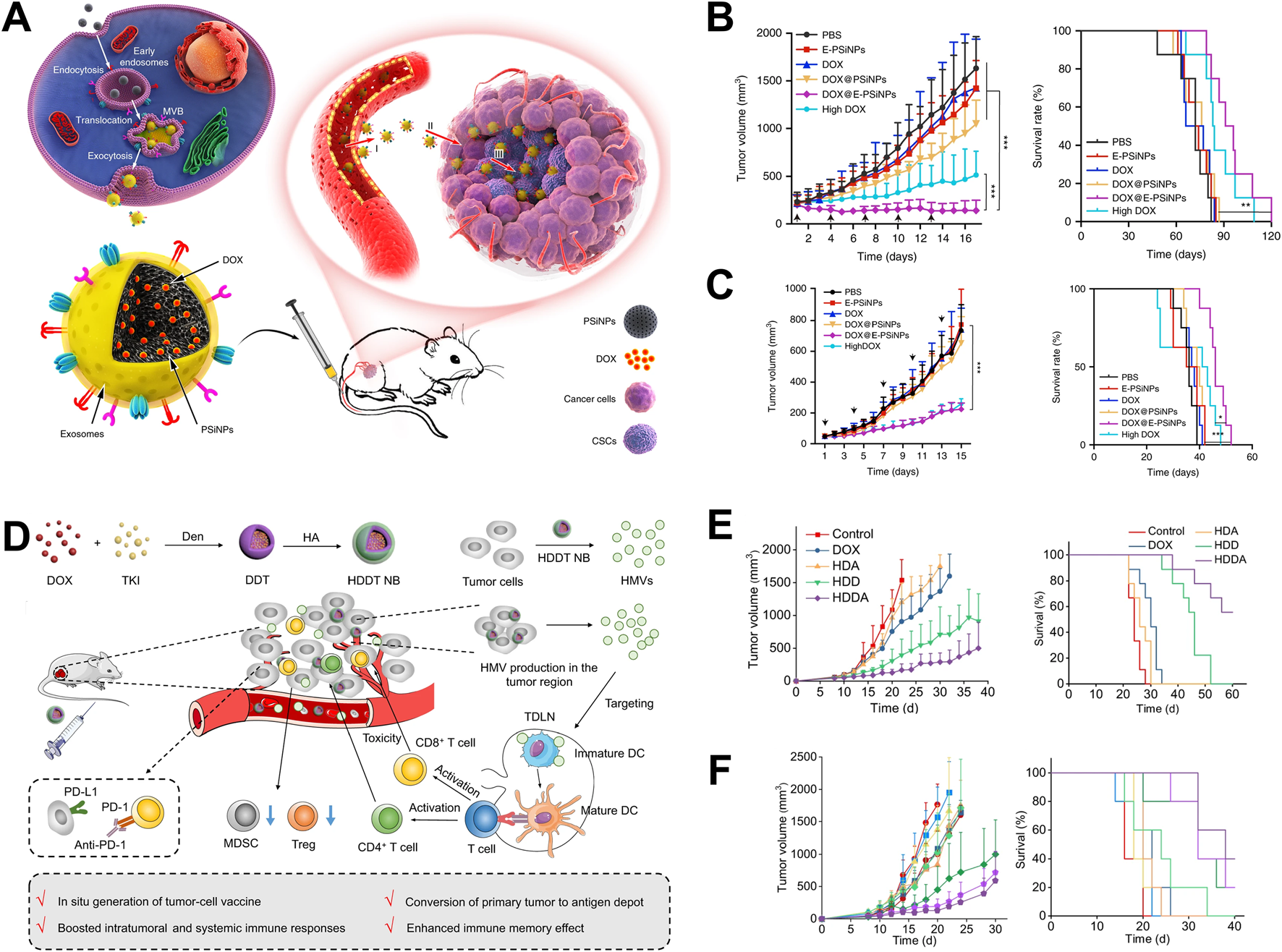 A composite image depicting nanotechnology for cancer treatment. Panel A illustrates a diagram showing the delivery of drugs using nanoparticles and exosomes into a mouse model. Panel B and C display line and survival charts indicating tumor volume and survival rates across different treatment groups over time. Panel D presents a detailed schematic of nanoparticle-based drug delivery and immune response activation, including diagrams of cells and processes like tumor-cell vaccine generation. Panel E and F include line and survival charts detailing tumor growth and survival rates for various treatment modalities, showcasing the impact of different therapies.