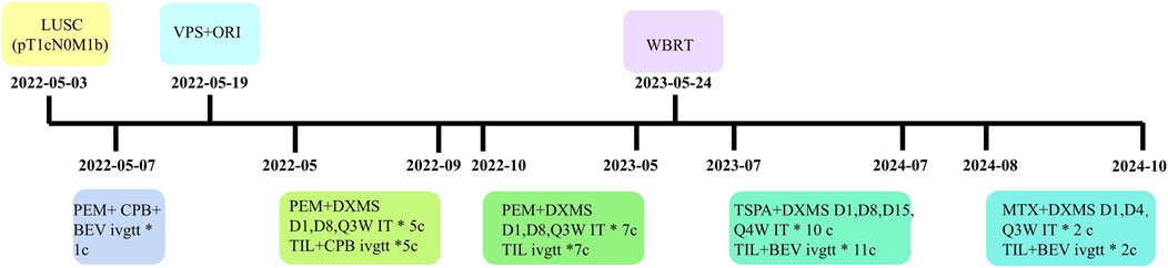 Timeline illustrating a medical treatment history from May 2022 to October 2024. Key events include LUSC diagnosis on May 3, 2022, VPS+ORI treatment on May 19, 2022, and WBRT on May 24, 2023. Various chemotherapy regimens such as PEM+CPB+BEV and PEM+DXMS are noted at specific intervals.
