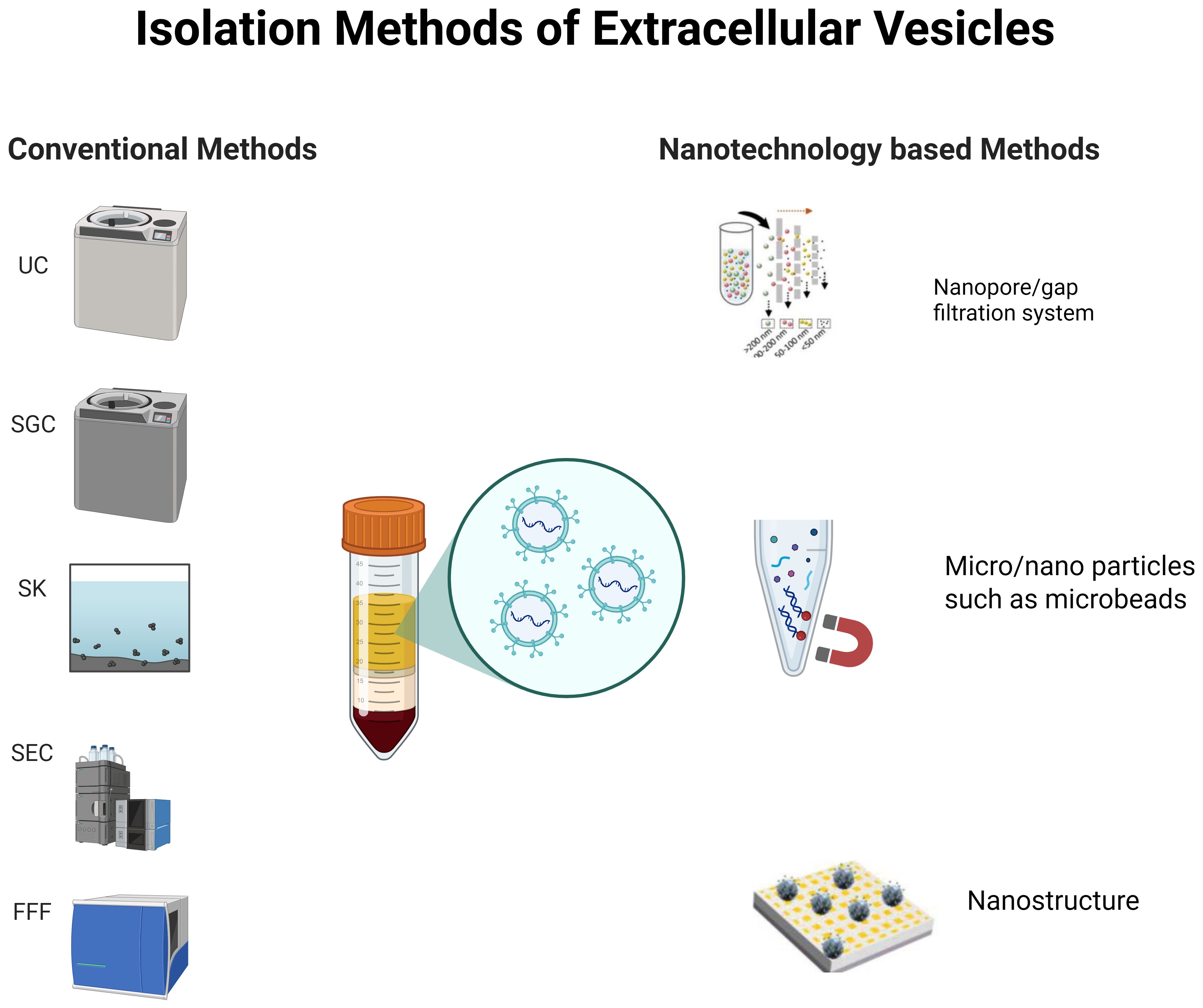 Isolation methods of extracellular vesicles are shown. On the left, conventional methods include ultracentrifugation (UC), sucrose gradient centrifugation (SGC), sedimentation kernel (SK), size-exclusion chromatography (SEC), and field-flow fractionation (FFF). On the right, nanotechnology-based methods include nanopore/gap filtration systems, micro/nano particles like microbeads, and nanostructures. Central illustrations depict test tubes with vesicles and particles.