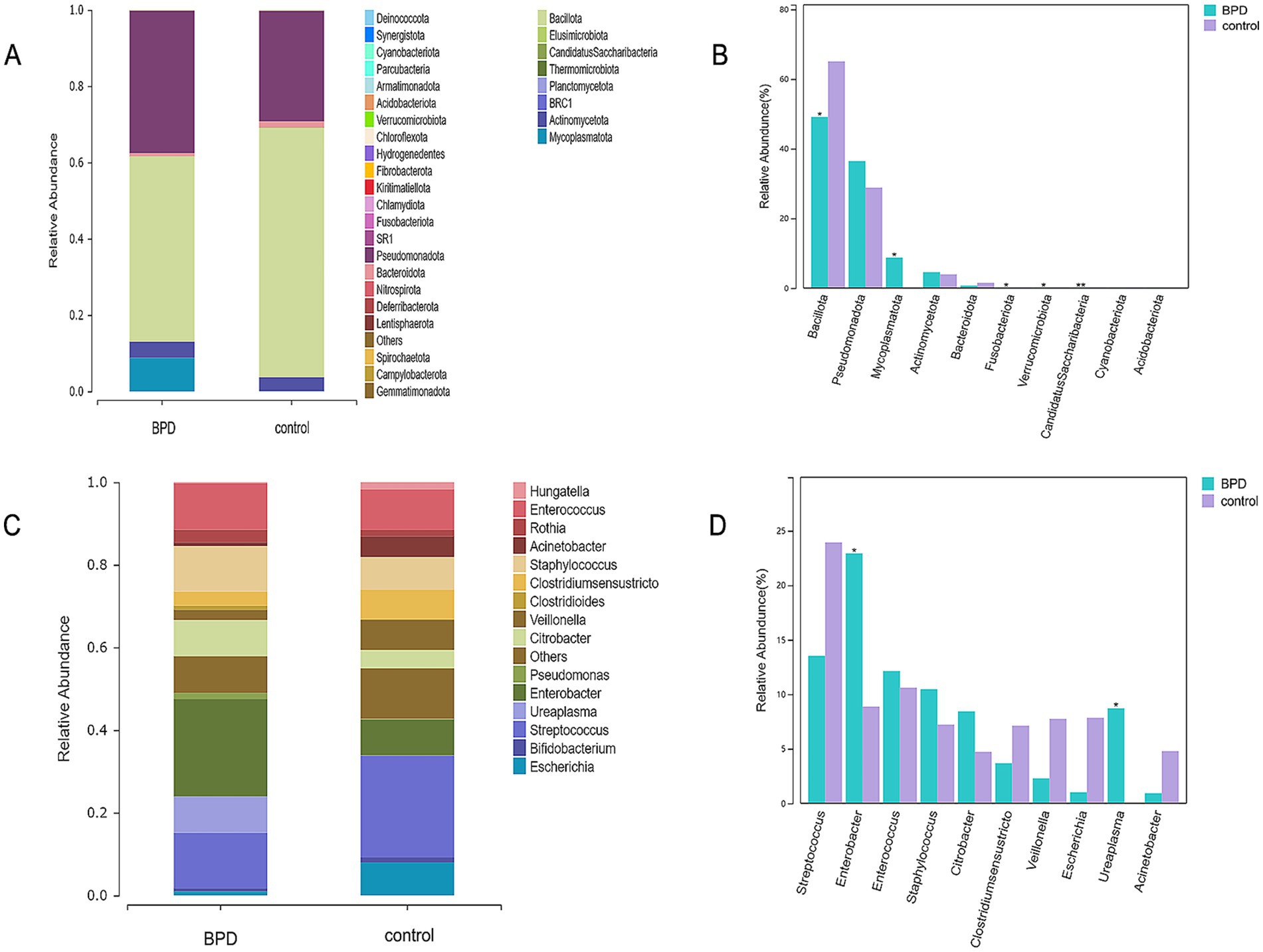 Four bar graphs compare microbial communities between BPD and control groups. Graphs A and C show stacked relative abundance by phylum and genus, respectively. Graphs B and D display individual genus abundance percentages. BPD bars are teal, and control bars are purple. Each graph includes a detailed legend for categorization.