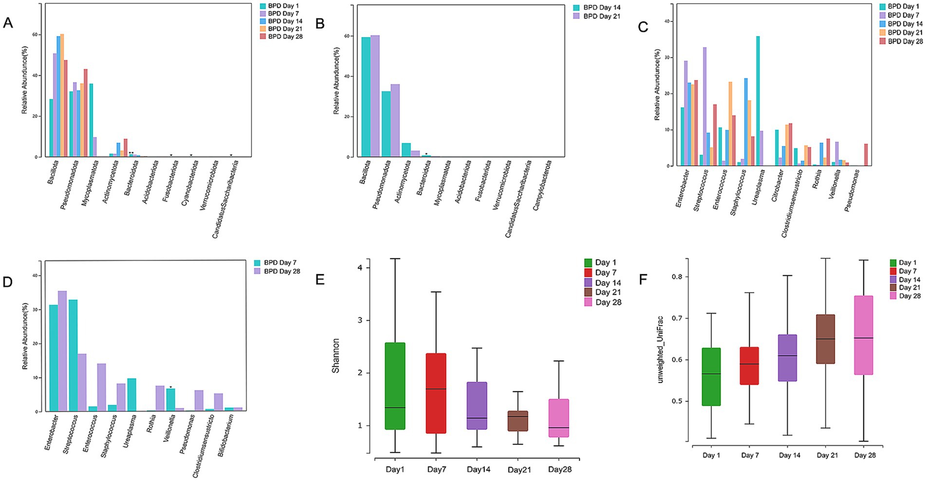 Six charts depict microbiome analysis over different days. Charts A and B show relative abundance of various bacterial phyla across different days, dominated by Bacteroides and Pseudomonadales. Charts C and D illustrate relative abundance at the genus level, highlighting Enterobacter and Streptococcus. Chart E is a box plot indicating Shannon diversity index values over five different days, showing decreasing diversity. Chart F is a box plot presenting unweighted UniFrac distances across the same period, indicating variability among microbial communities. Each chart uses color codes to represent data from specific days.