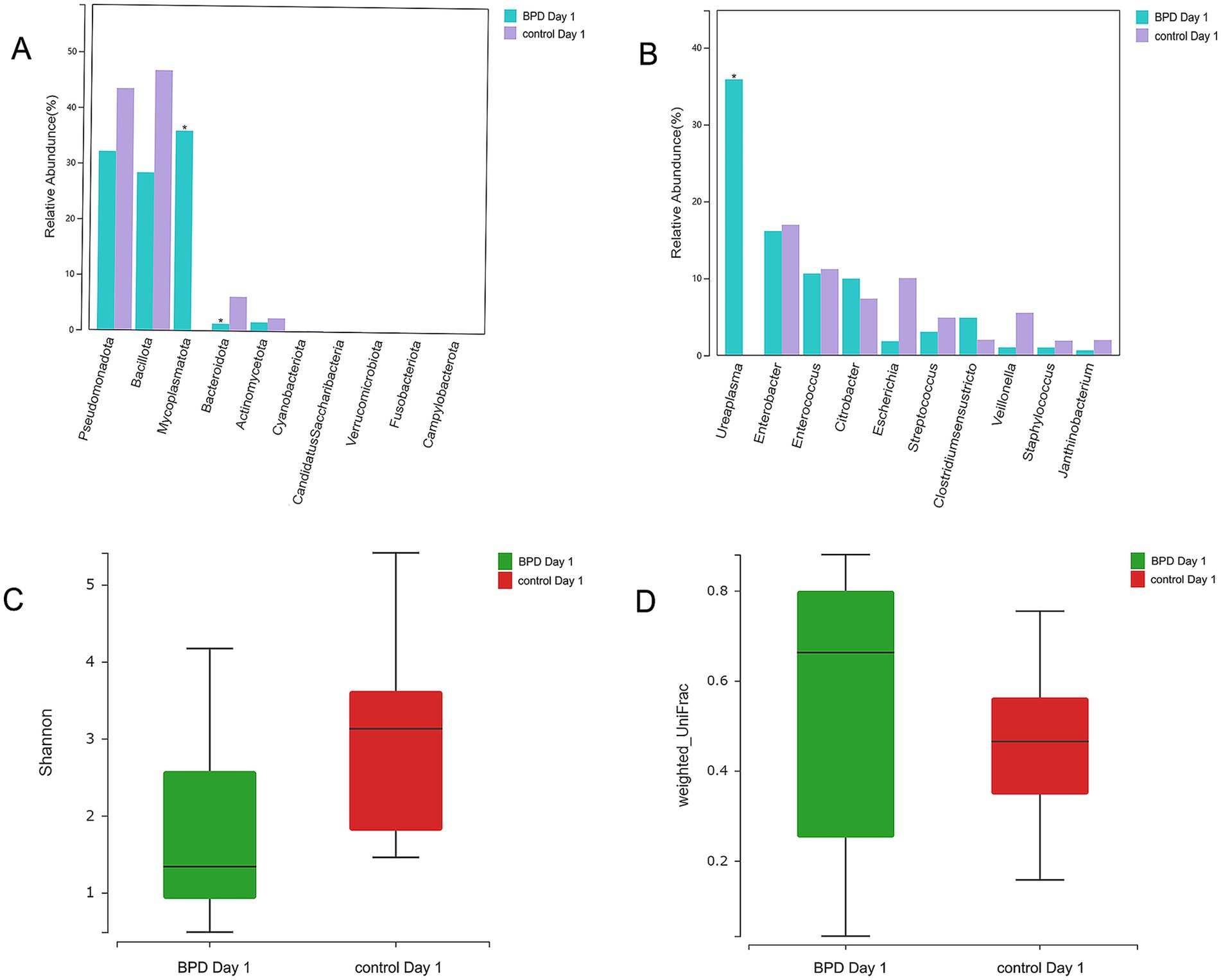 Chart showing four panels. Panel A: Bar chart comparing relative abundance of bacterial phyla between BPD Day 1 and control Day 1. Pseudomonadota and Bacteroidota have higher abundance in BPD. Panel B: Bar chart showing bacterial genera, with Ureaplasma most abundant in BPD Day 1. Panel C: Box plot of Shannon diversity index, higher in control Day 1. Panel D: Box plot of weighted UniFrac distances, higher in BPD Day 1. Legend indicates colors for BPD Day 1 (green) and control Day 1 (red).