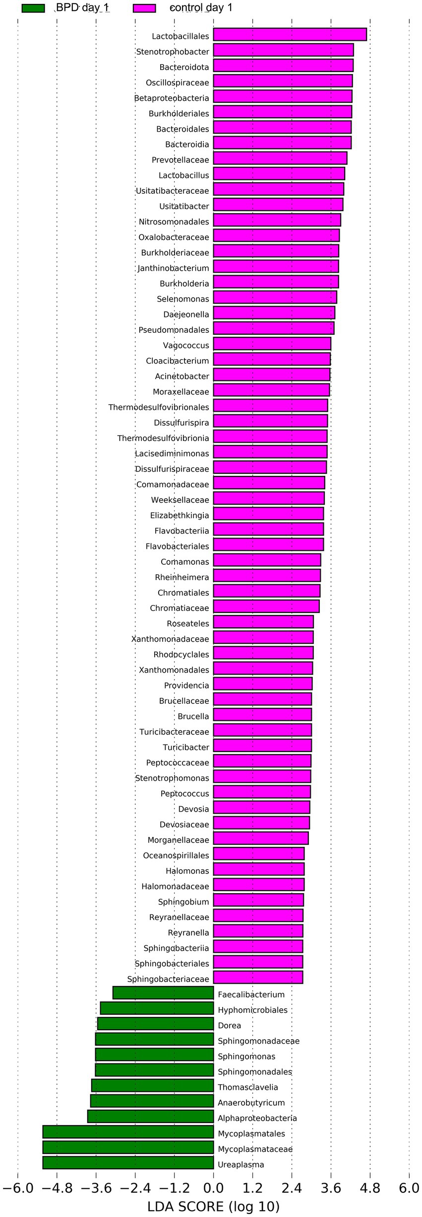 Bar chart showing bacterial genera in BPD day 1 and control day 1 groups. Control day 1 (pink) includes Lactobacillales, Stenotrophobacter, and Bacteroidota. BPD day 1 (green) features Faecalibacterium, Alphaproteobacteria, and Ureaplasma. X-axis represents LDA scores from negative six to six on a log ten scale.