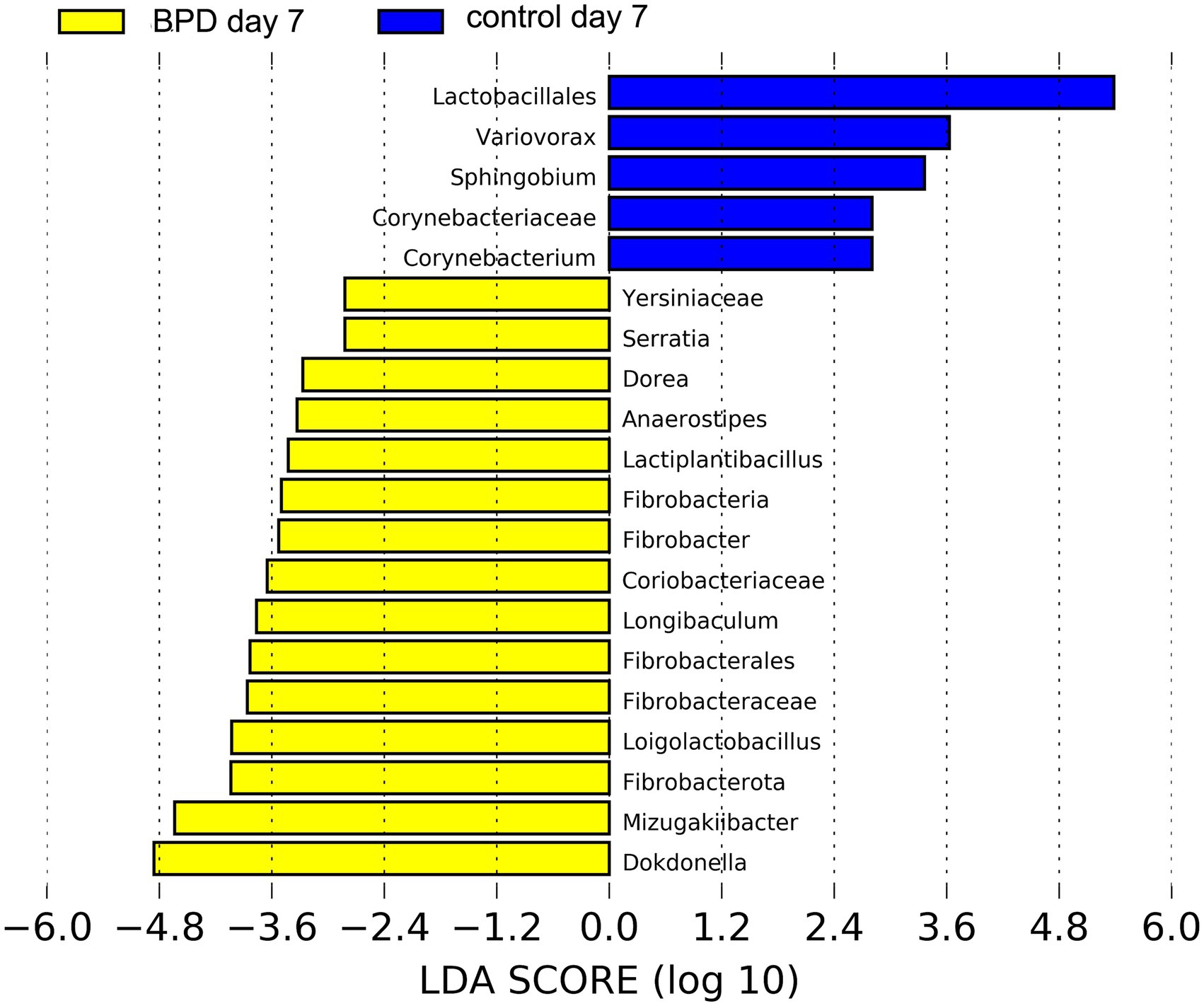 Bar chart comparing bacterial taxa abundance between BPD day 7 and control day 7. Yellow bars indicate BPD, with bacteria such as Yersiniaceae and Lactiplantibacillus. Blue bars indicate control, highlighting Lactobacillales and Corynebacterium. LDA score (log scale) on the x-axis.