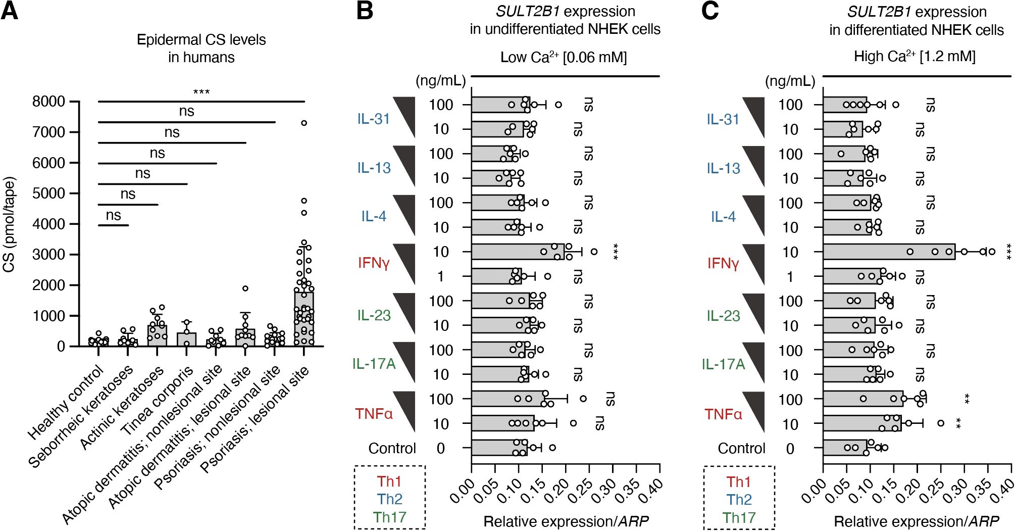 Panels A, B, and C display data on cytokine levels and SULT2B1 expression. Panel A shows epidermal CS levels across different skin conditions, with significant differences marked by asterisks. Panels B and C illustrate SULT2B1 expression in undifferentiated and differentiated NHEK cells, respectively, with various cytokine treatments at different concentrations. Non-significant changes are labeled as “ns,” while significant changes are marked by asterisks.