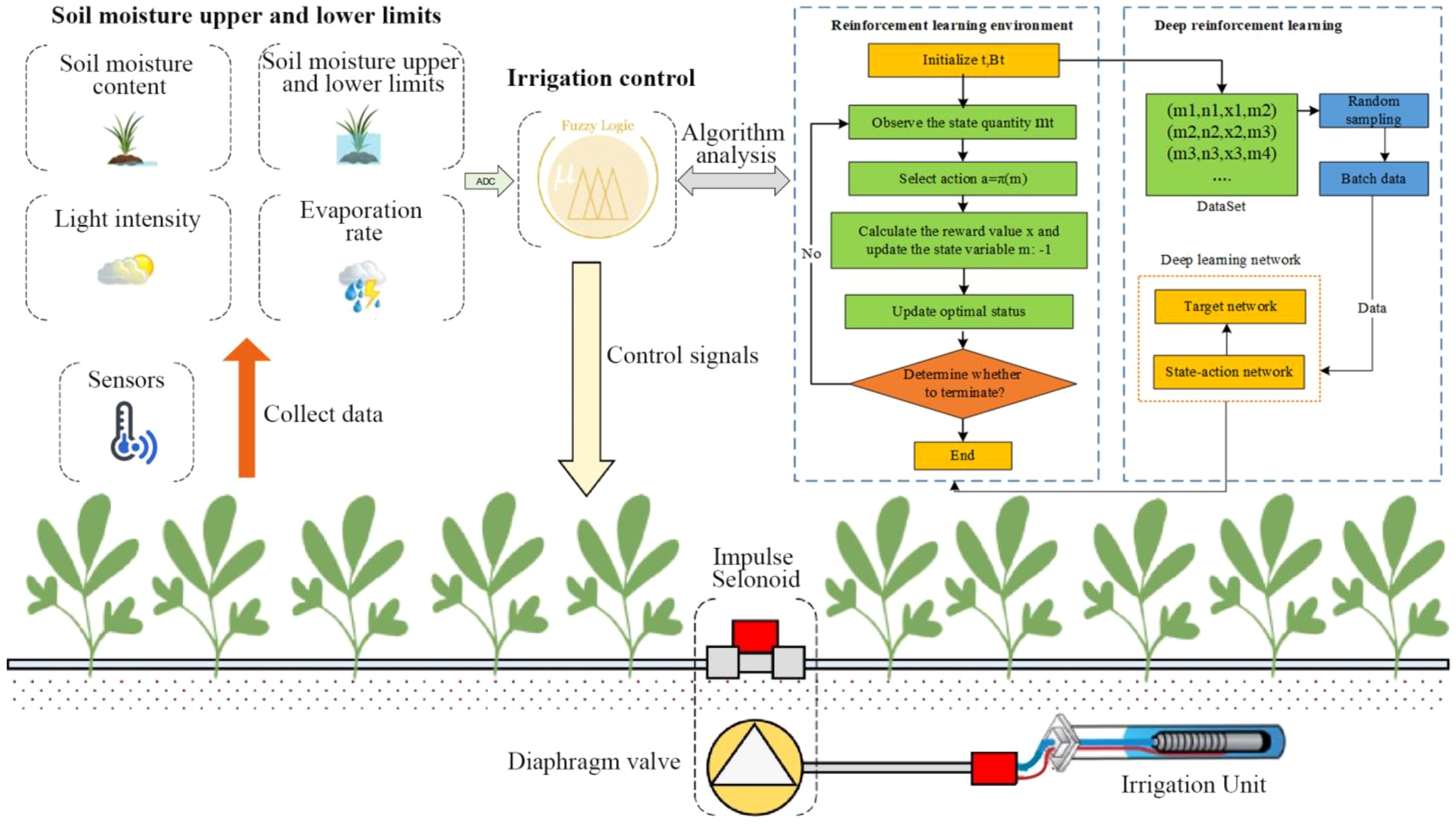 Diagram illustrating an automated irrigation system using sensors and reinforcement learning. Sensors collect data on soil moisture, light intensity, and evaporation. This data is analyzed via fuzzy logic and a reinforcement learning algorithm to control irrigation. The learning process involves observing states, selecting actions, and updating statuses, integrated with deep learning for optimal irrigation control. The system includes impulse solenoid and diaphragm valves controlling water flow in the irrigation unit, schematically shown with plants, pipes, and valves.