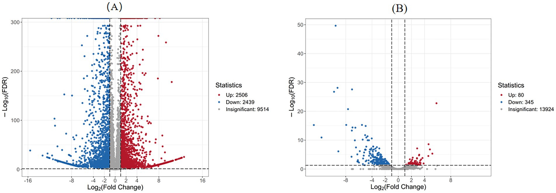 Two volcano plots labeled A and B display gene expression data. Plot A shows a higher density of upregulated genes in red and downregulated genes in blue, with a significant number also insignificant in gray. Plot B has fewer significant changes, with fewer points overall. Both plots use Log2 fold change on the x-axis and negative Log10 FDR on the y-axis.