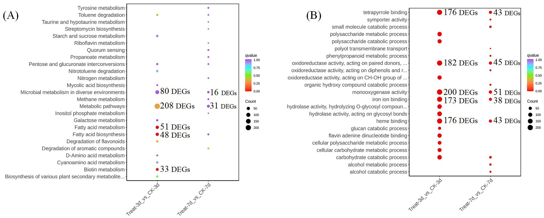 Dot plot diagrams displaying differential expression of genes (DEGs) in metabolic pathways. Panel A highlights various metabolic processes with their DEG counts shown as colored dots, indicating q-values. Panel B focuses on different biological processes and enzyme activities with corresponding DEG counts. Dot size represents DEG count, while color spectrum indicates q-value, ranging from high to low significance.
