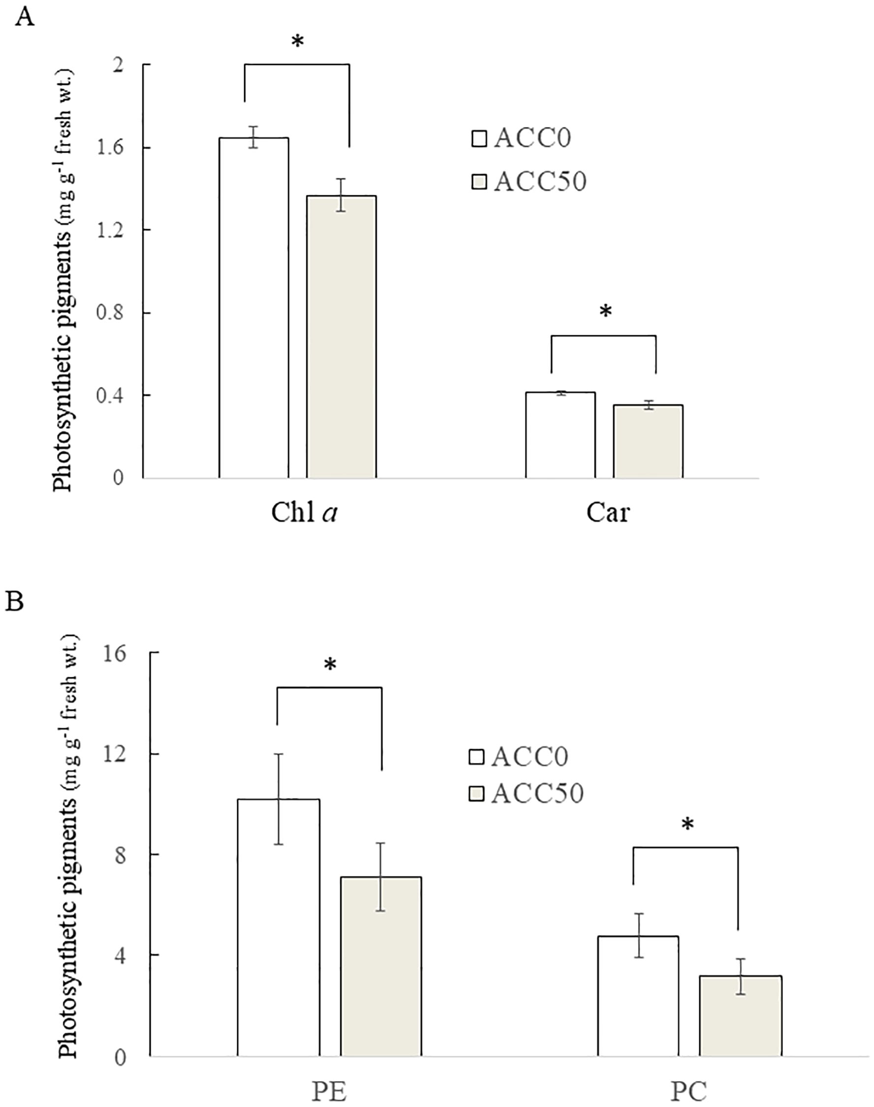 Bar graphs A and B compare photosynthetic pigment levels between ACC0 and ACC50 treatments. Graph A shows higher chlorophyll a and carotenoid levels in ACC0 than ACC50. Graph B shows higher phycoerythrin and phycocyanin levels in ACC0 than ACC50. Asterisks indicate statistically significant differences.
