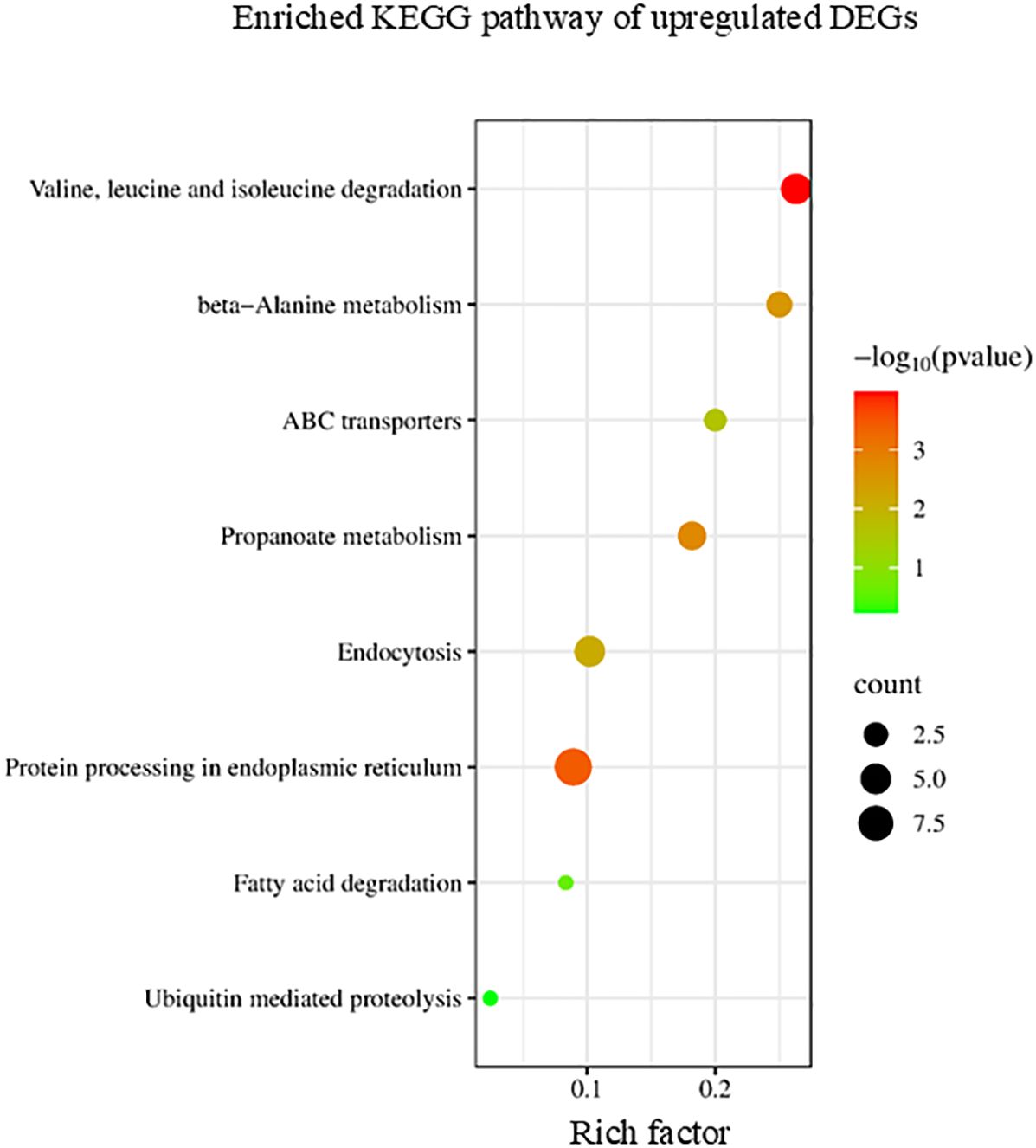 Scatter plot showing enriched KEGG pathways of upregulated DEGs. Pathways are plotted along the vertical axis, rich factor on the horizontal axis. Dot size indicates gene count, and color represents -log10(p-value) from green (low) to red (high). Valine, leucine, and isoleucine degradation pathway shows the highest significance with a bright red dot.